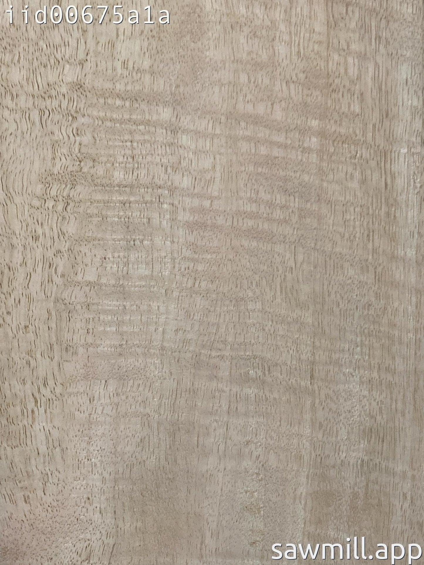 2" x 9" x 32" Mango