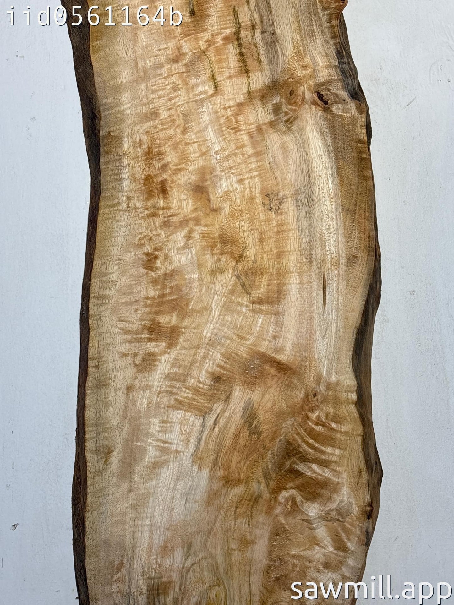 1.5" x 14" x 38" Mango