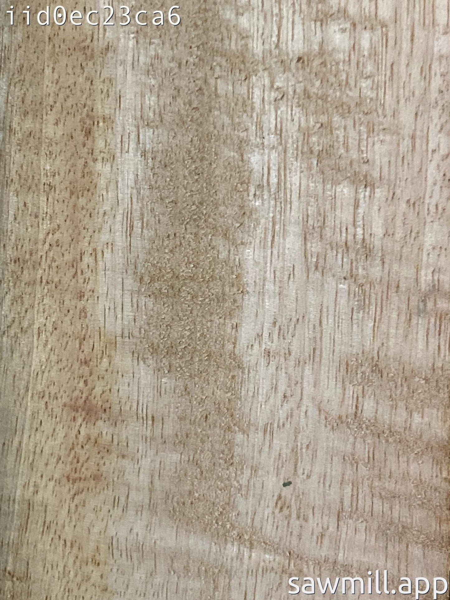1" x 5" x 62" Mango