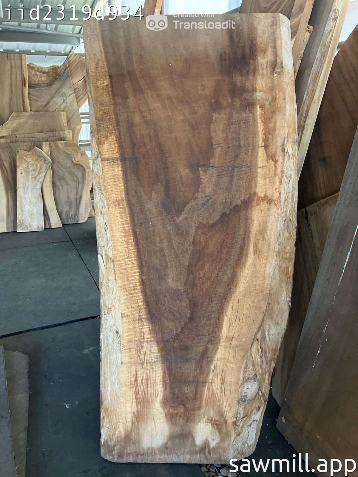 2.75" x 32" x 71" Hawaiian Monkeypod