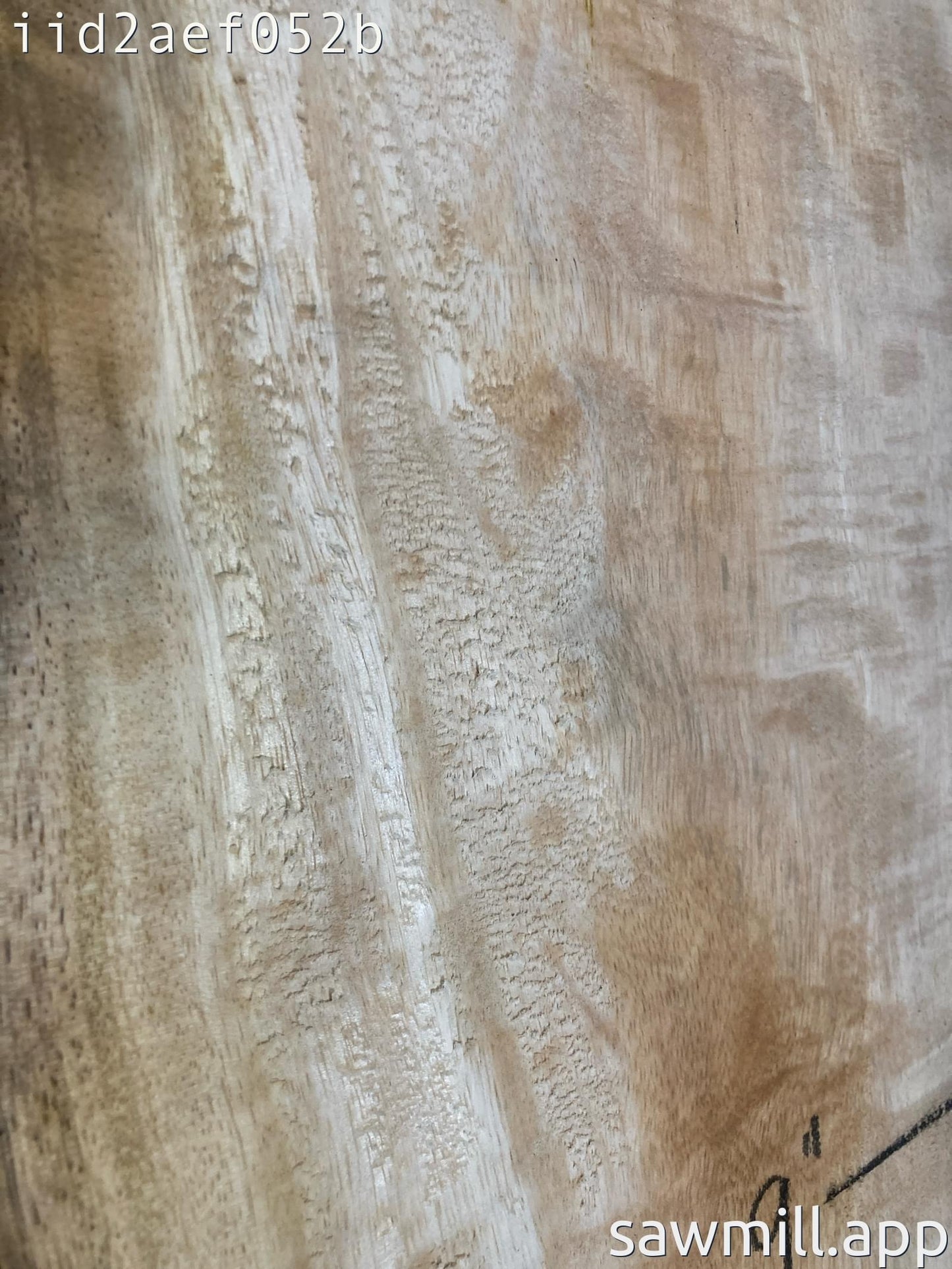 2" x 12" x 54" Mango