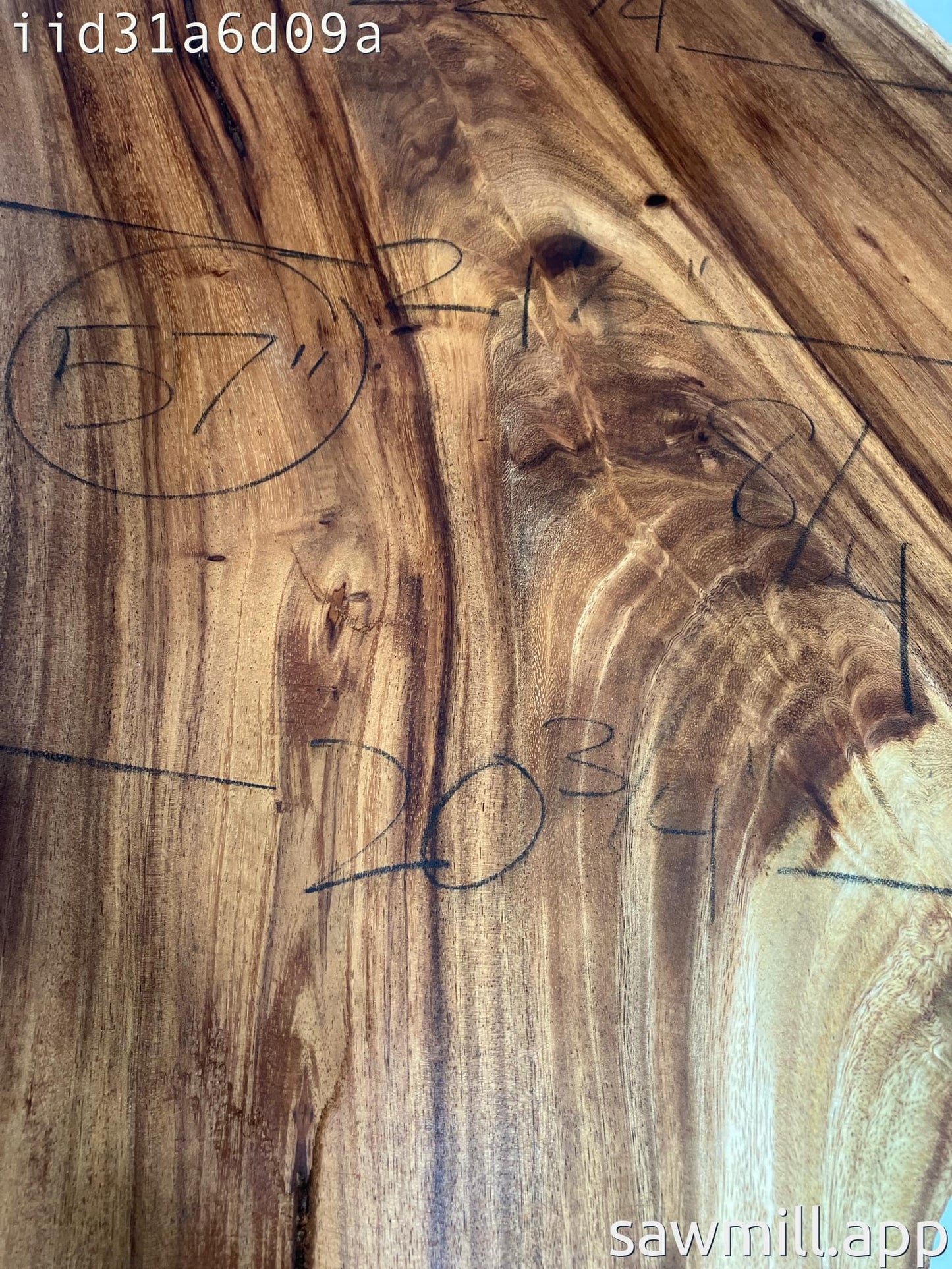 2" x 23" x 57" Monkeypod