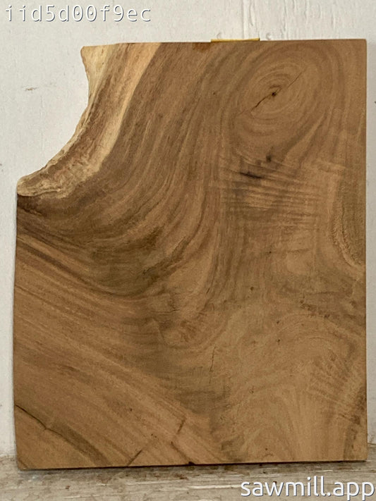 1.75" x 14" x 17" Monkeypod