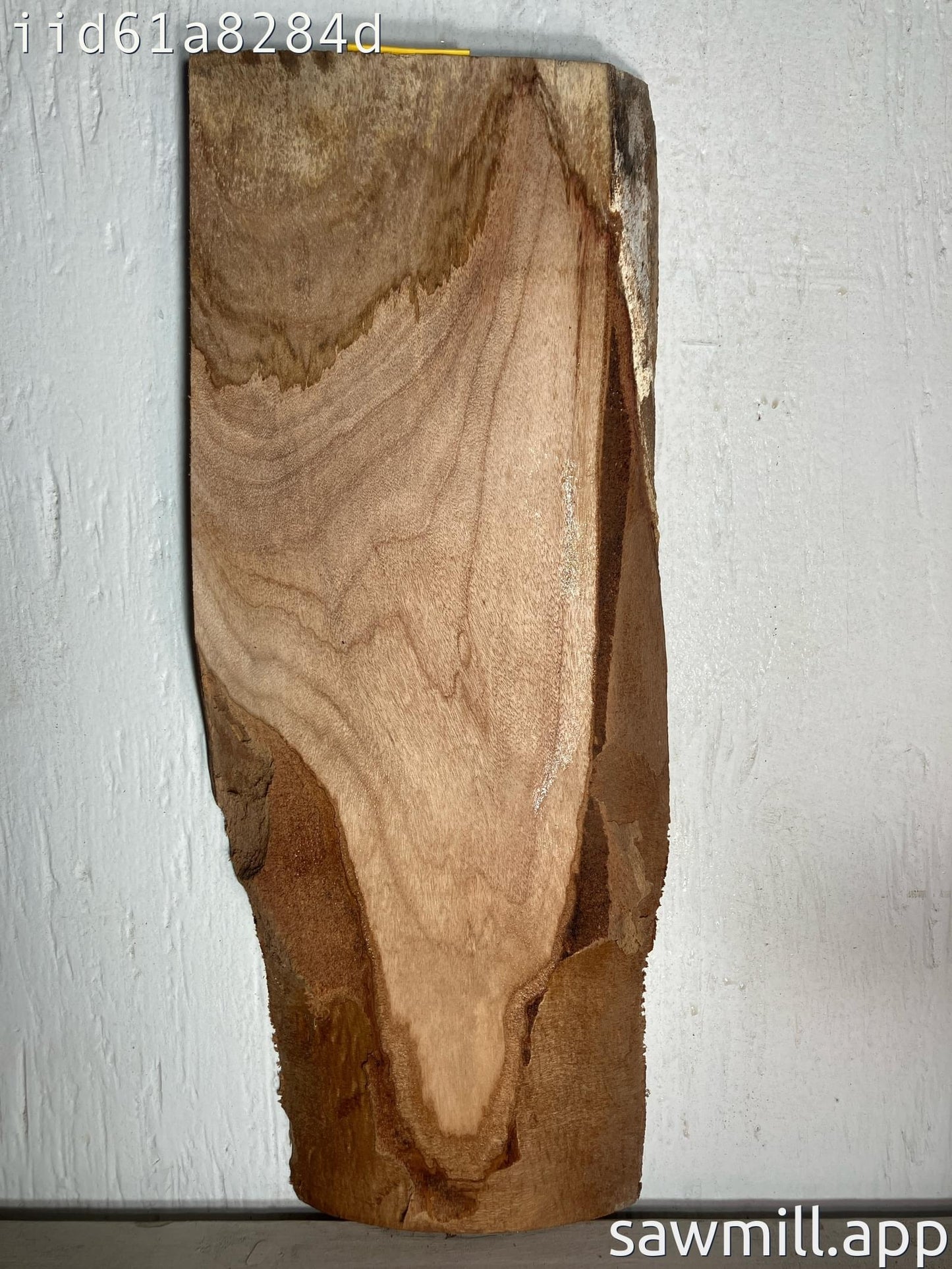 1" x 8" x 19" Avocado