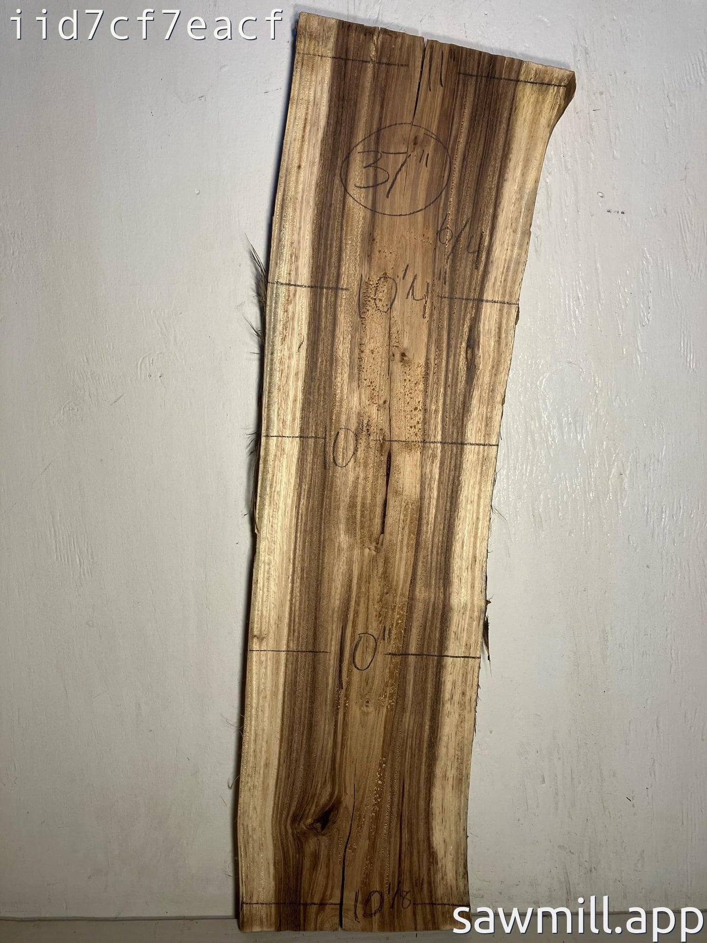 1.5" x 10" x 37" Monkeypod