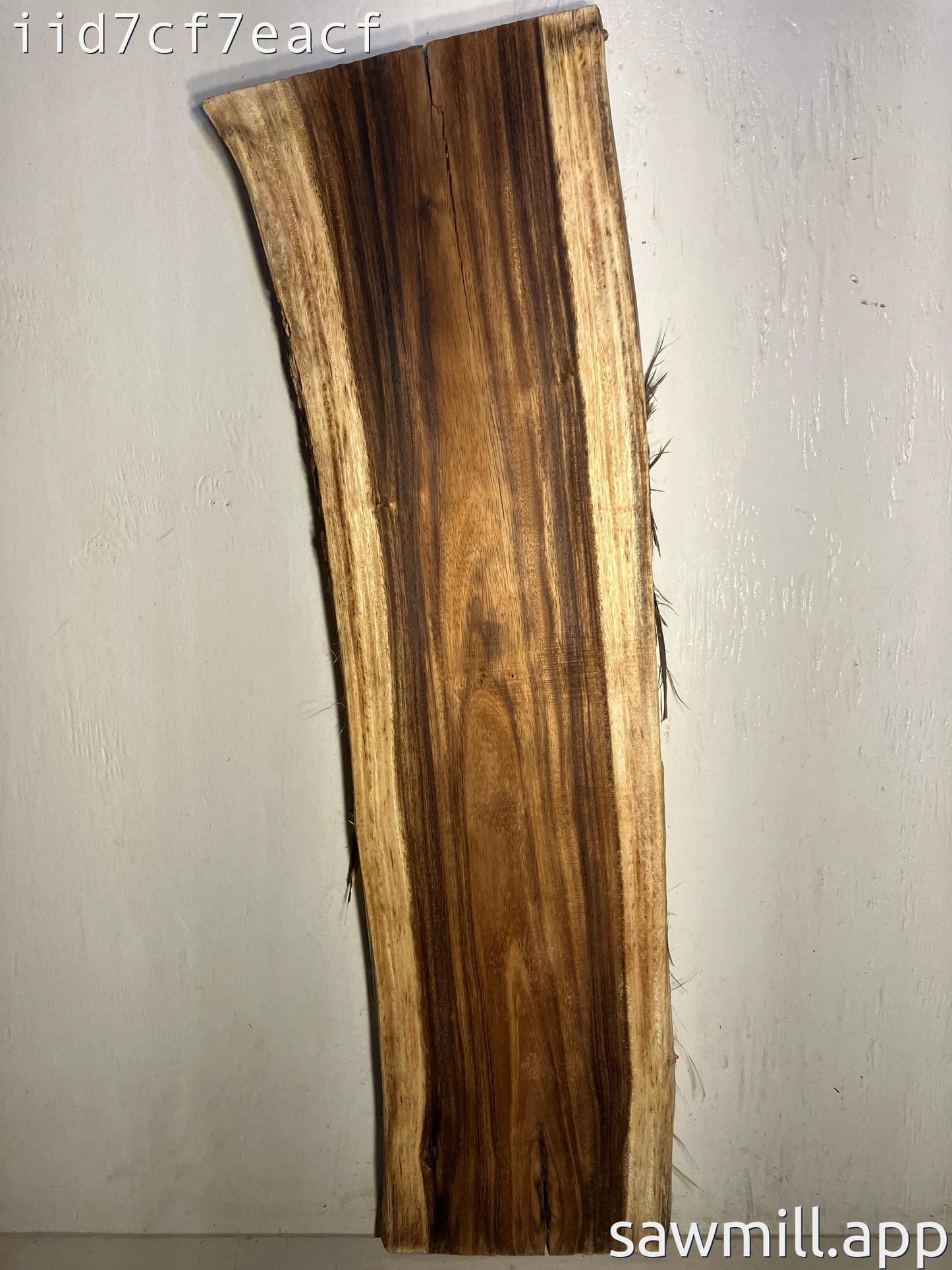 1.5" x 10" x 37" Monkeypod