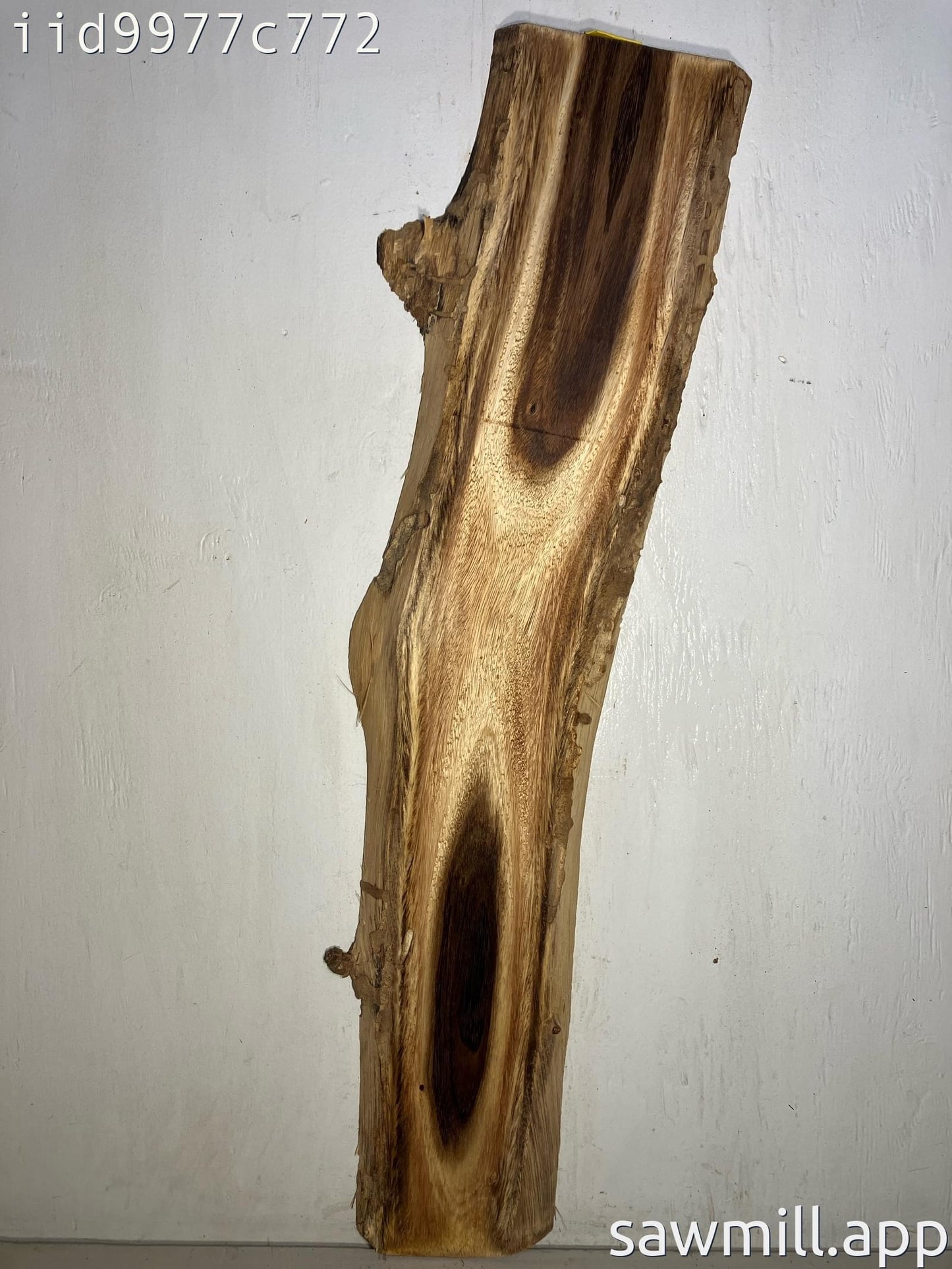 1.25" x 11" x 41" Monkeypod