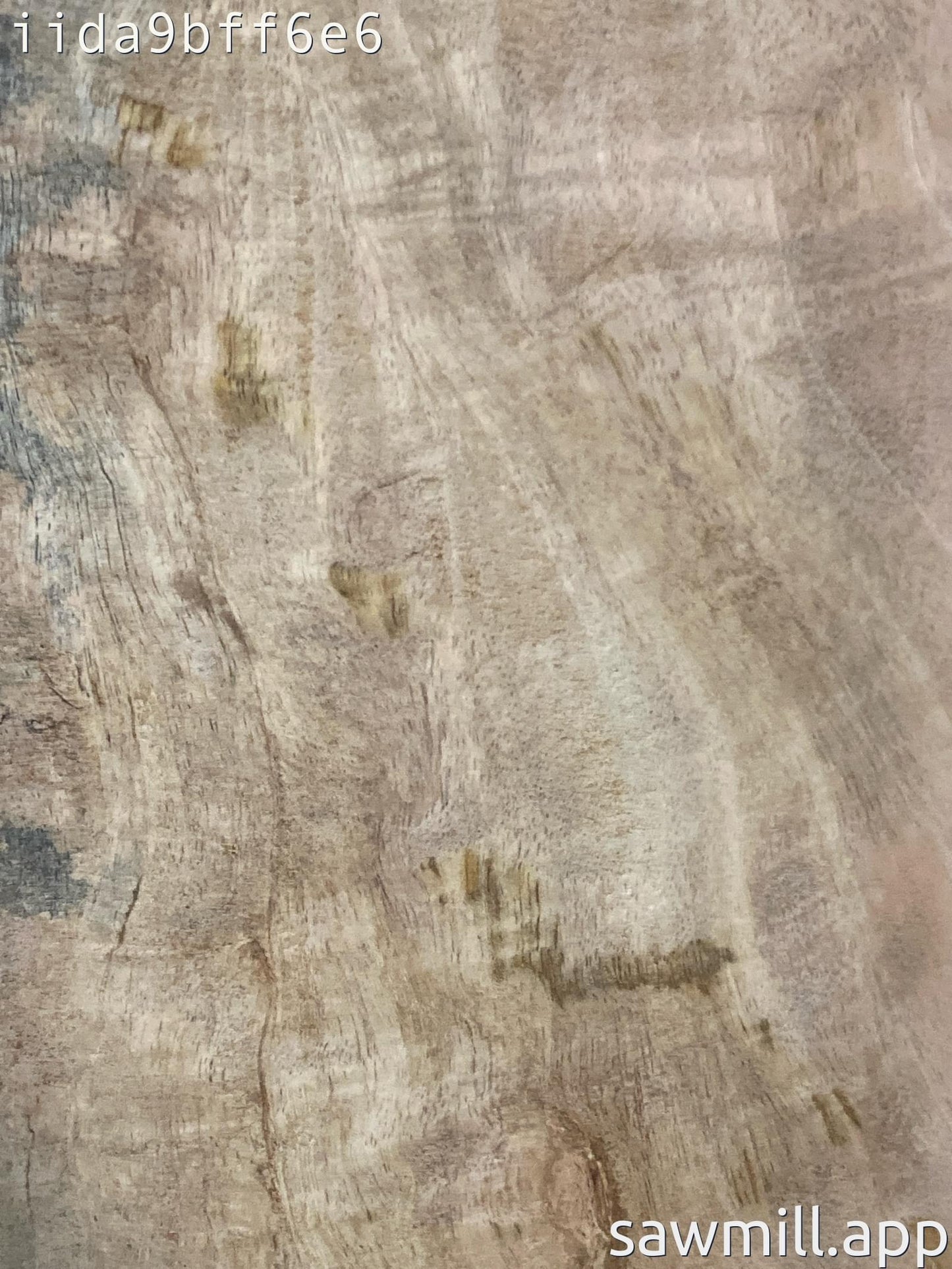 2" x 6" x 32" Mango
