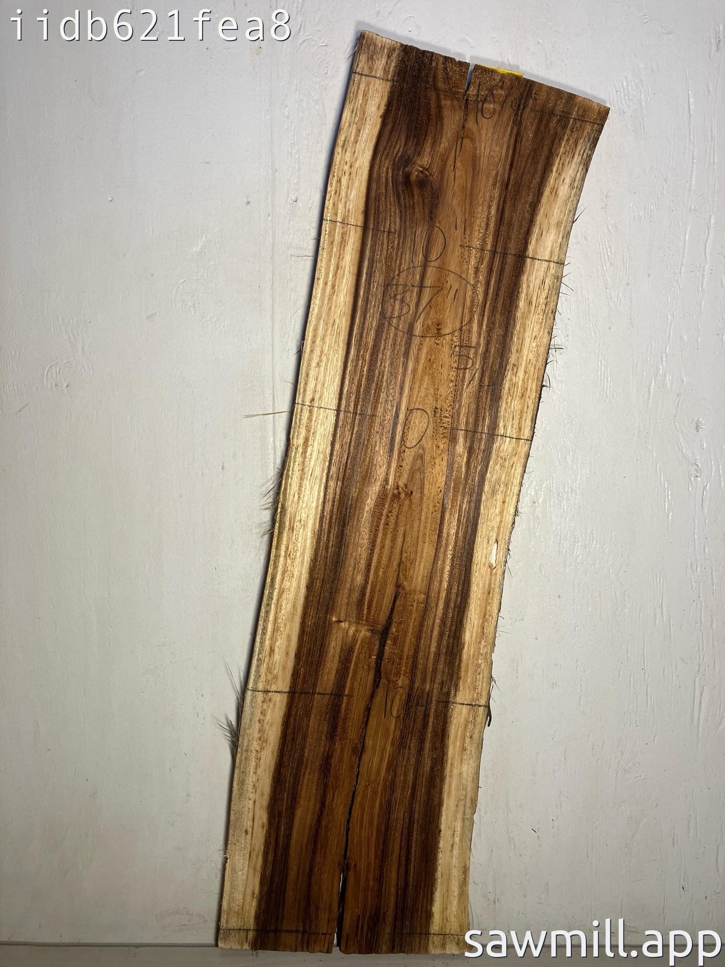 1.25" x 10" x 37" Monkeypod