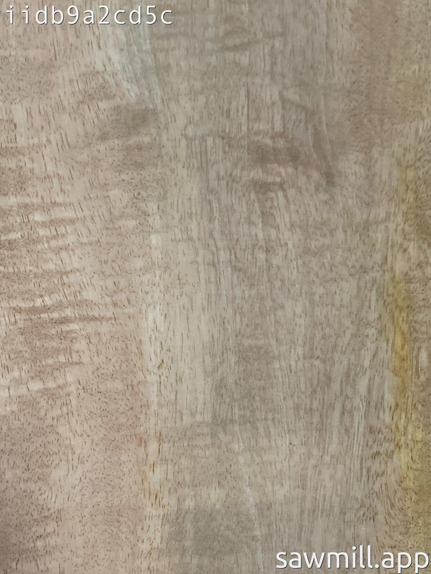 2" x 10" x 28" Mango