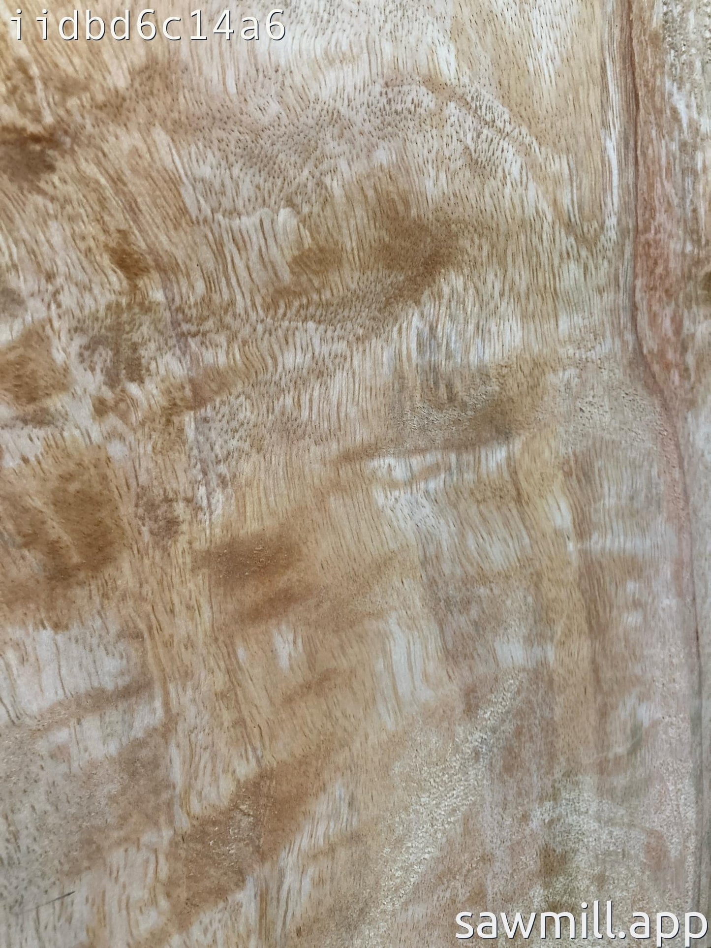 1.5" x 13" x 38" Mango