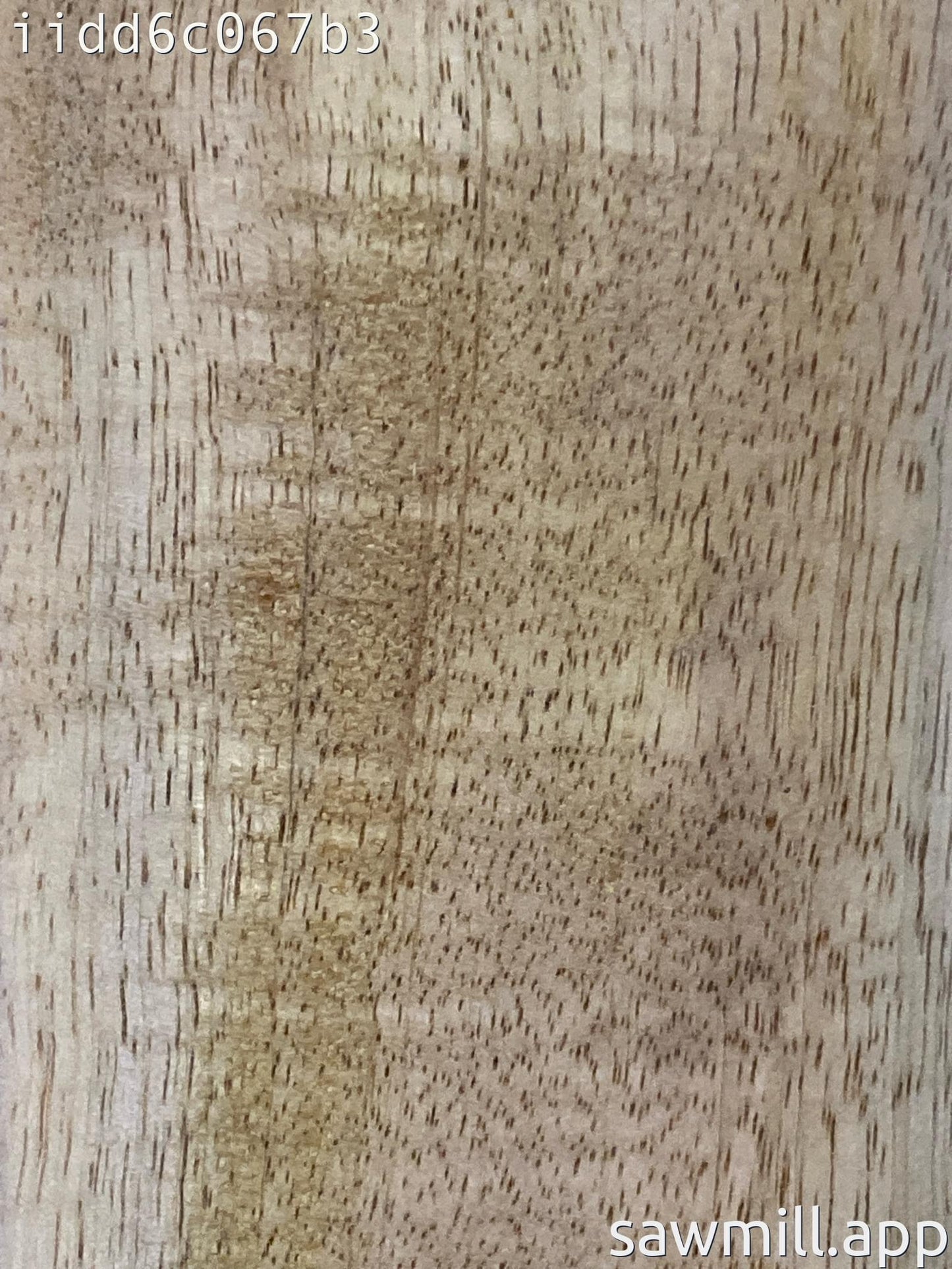 1.75" x 3" x 42" Mango