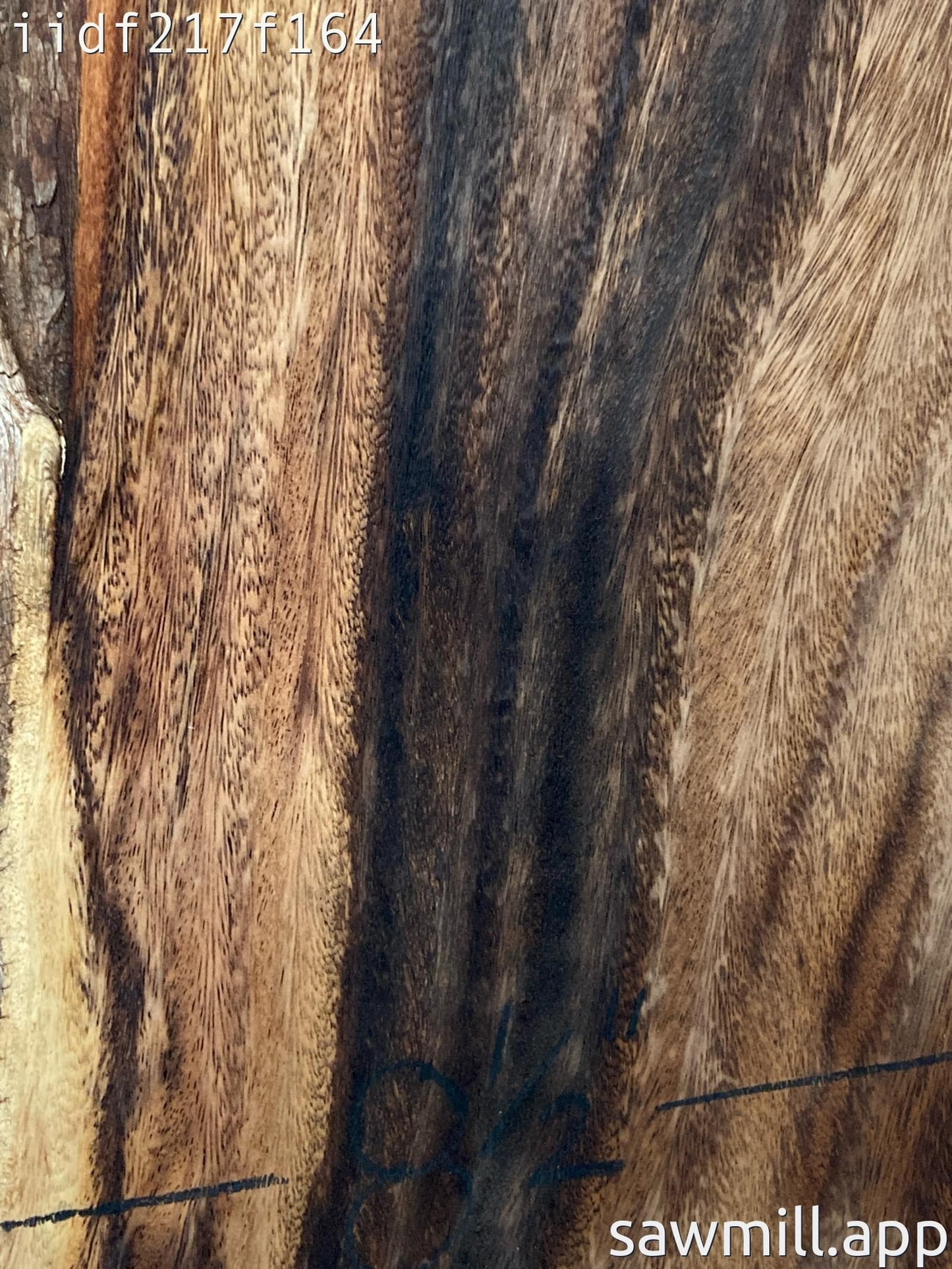 2" x 8" x 33" Monkeypod