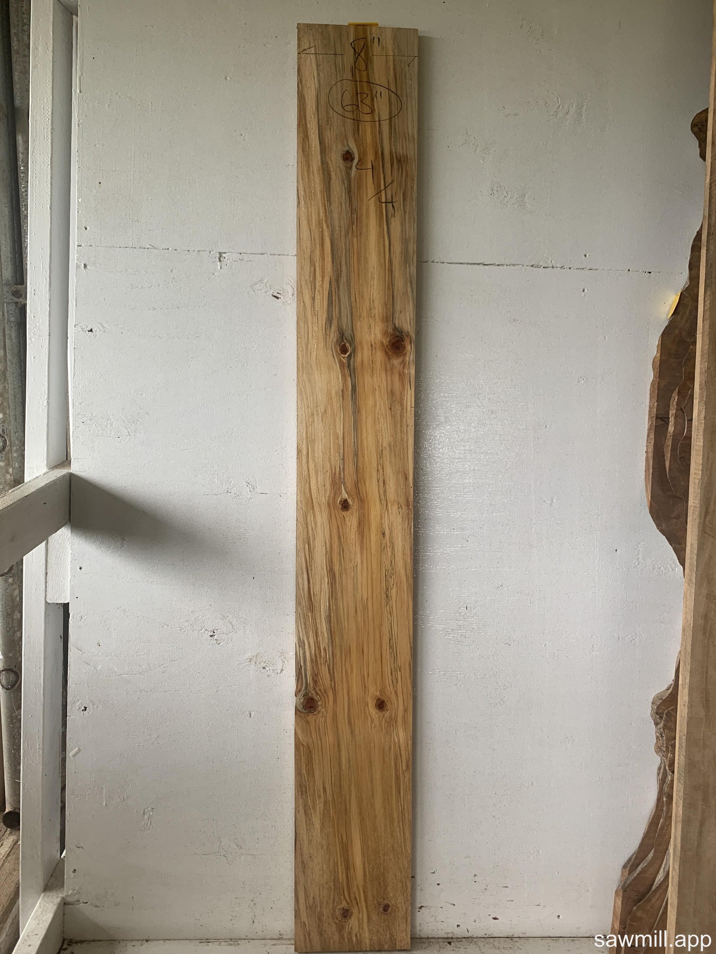 1" x 8" x 63" Norfolk Pine