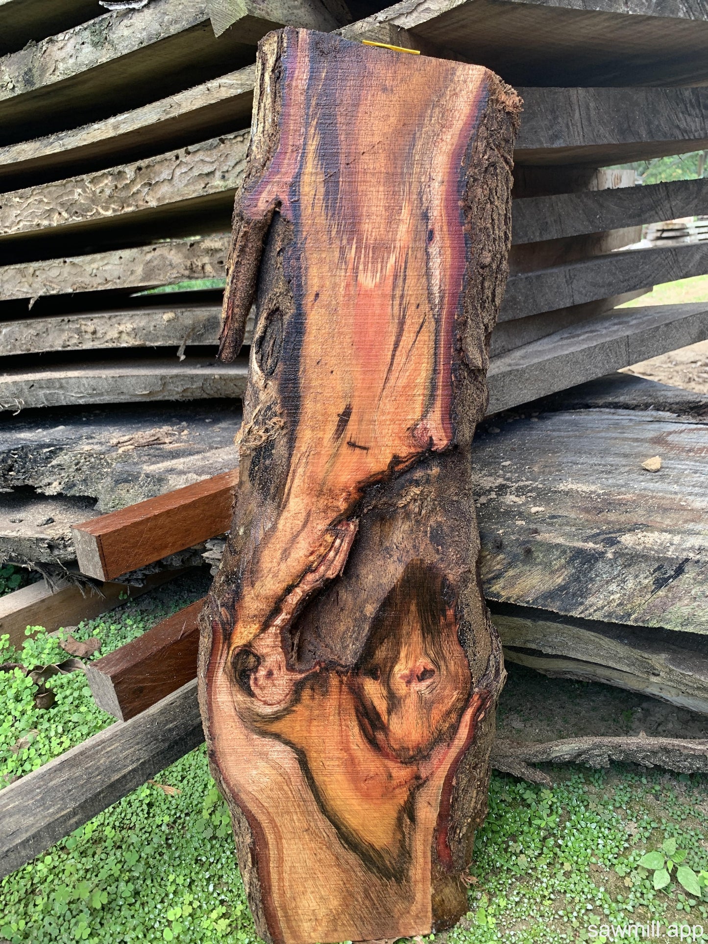 1" x 11" x 32" Koa