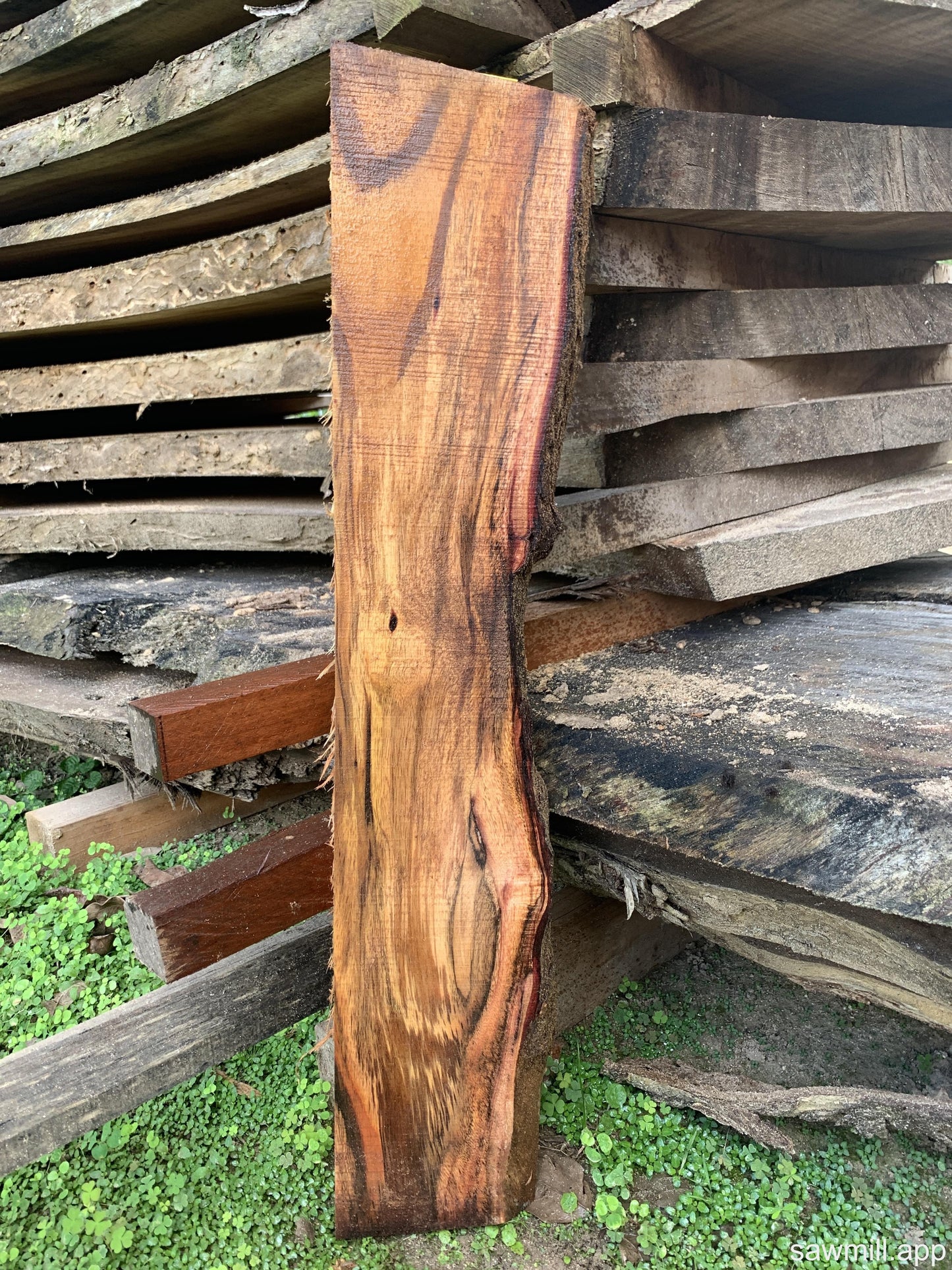 1" x 6" x 32" Koa