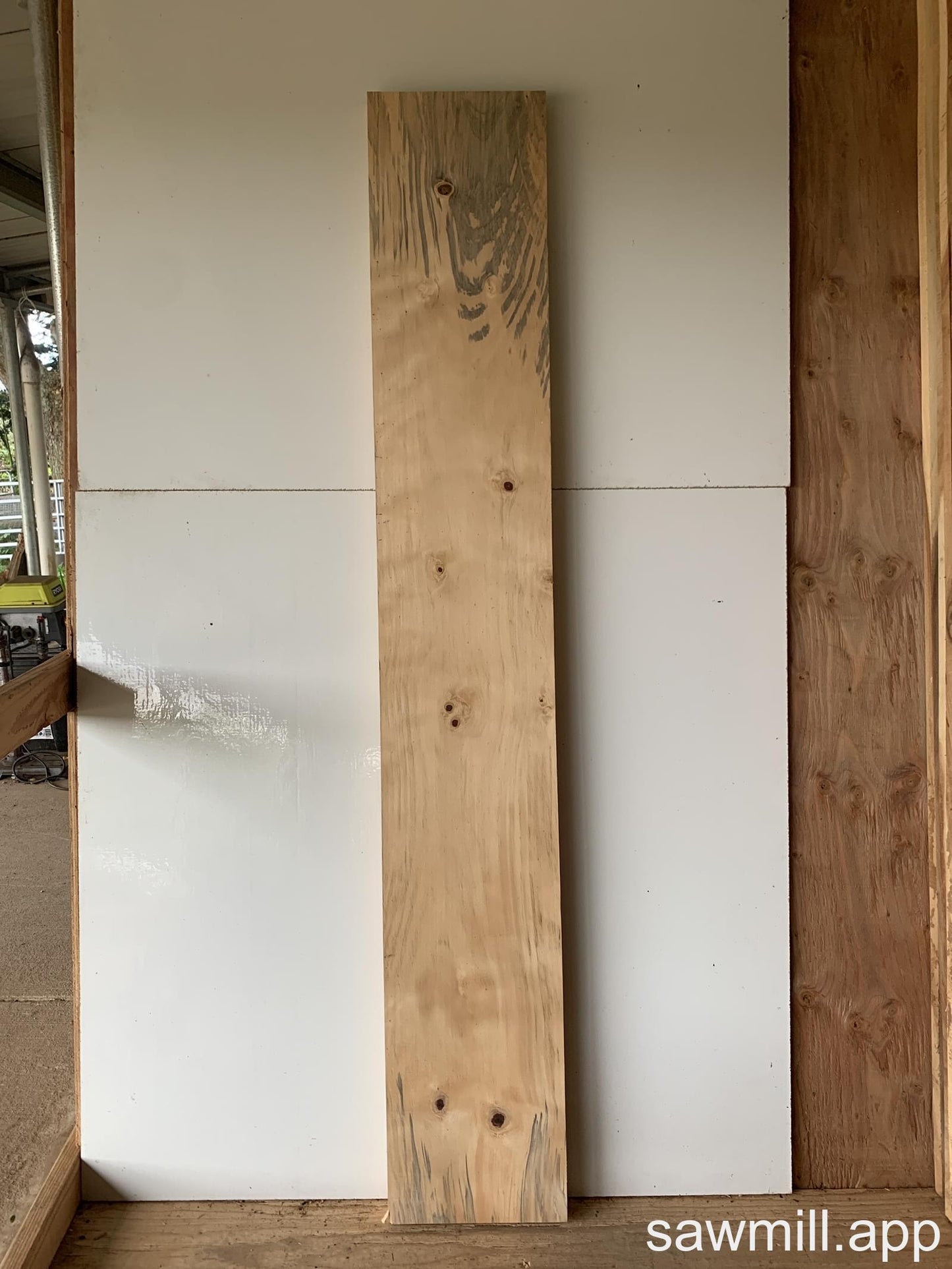 1.75" x 11" x 74" Norfolk Pine