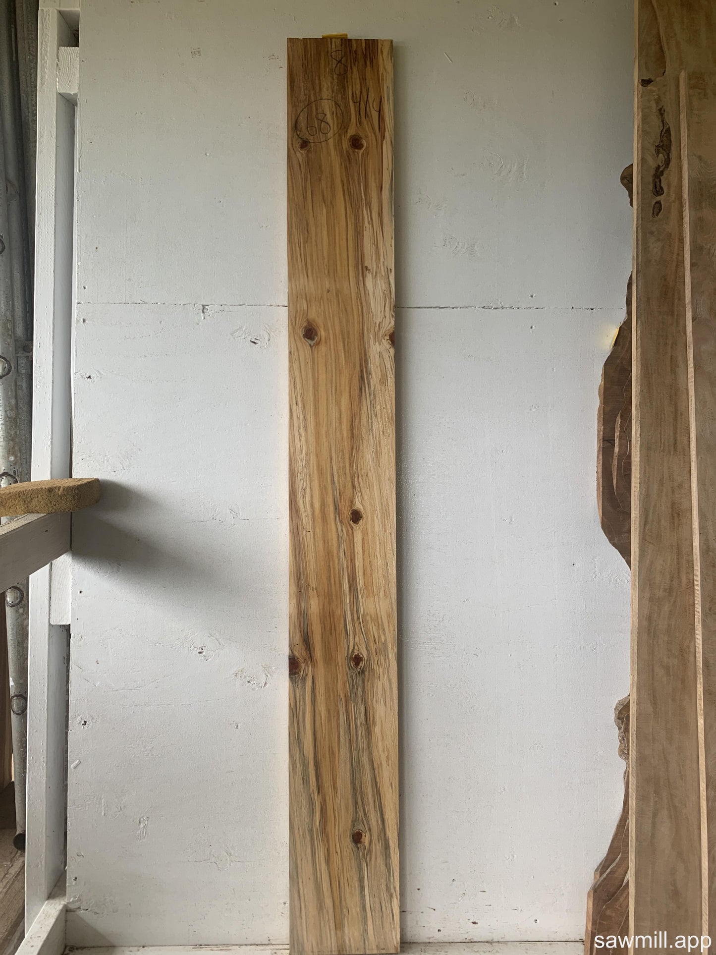 1" x 8" x 68" Norfolk Pine