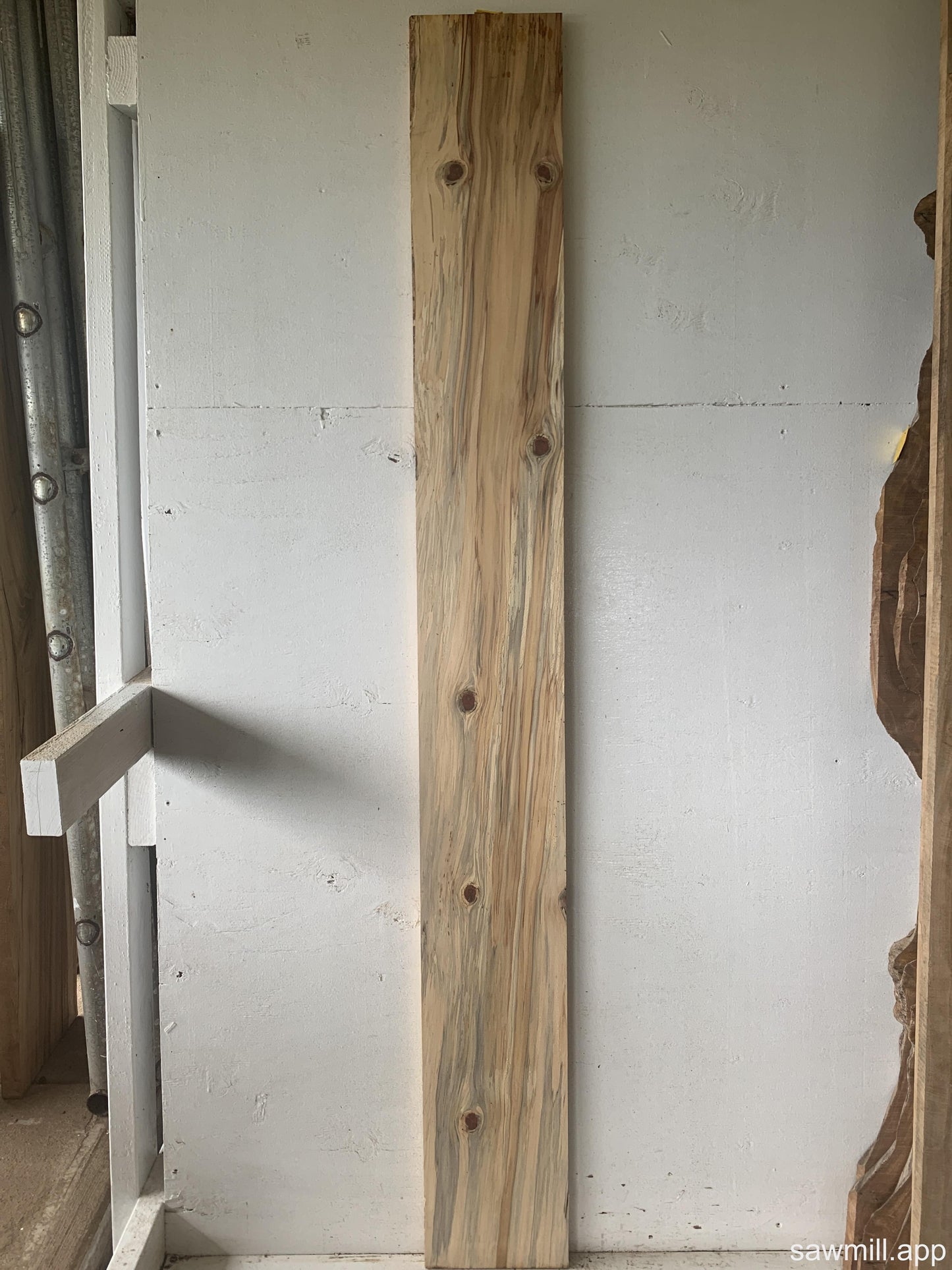 1" x 8" x 68" Norfolk Pine