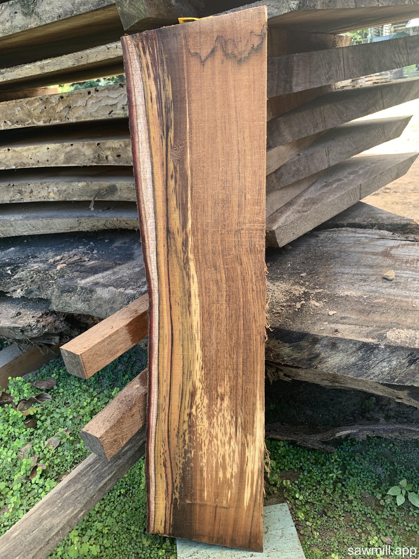 1" x 8" x 33" Koa