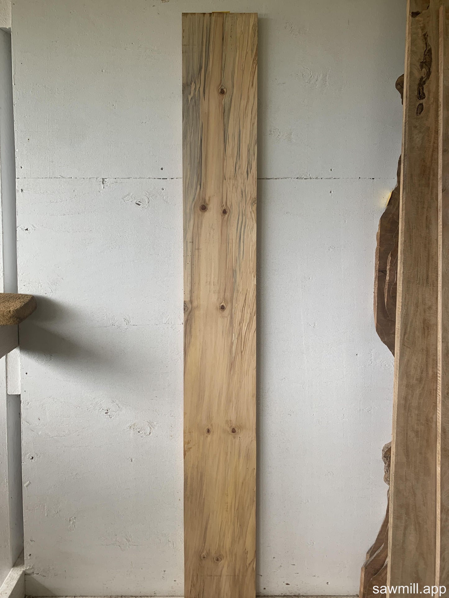 1" x 8" x 64" Norfolk Pine