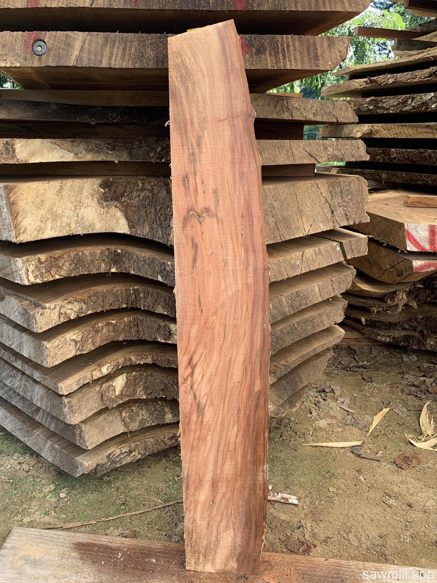 1" x 8" x 50" False Kamani
