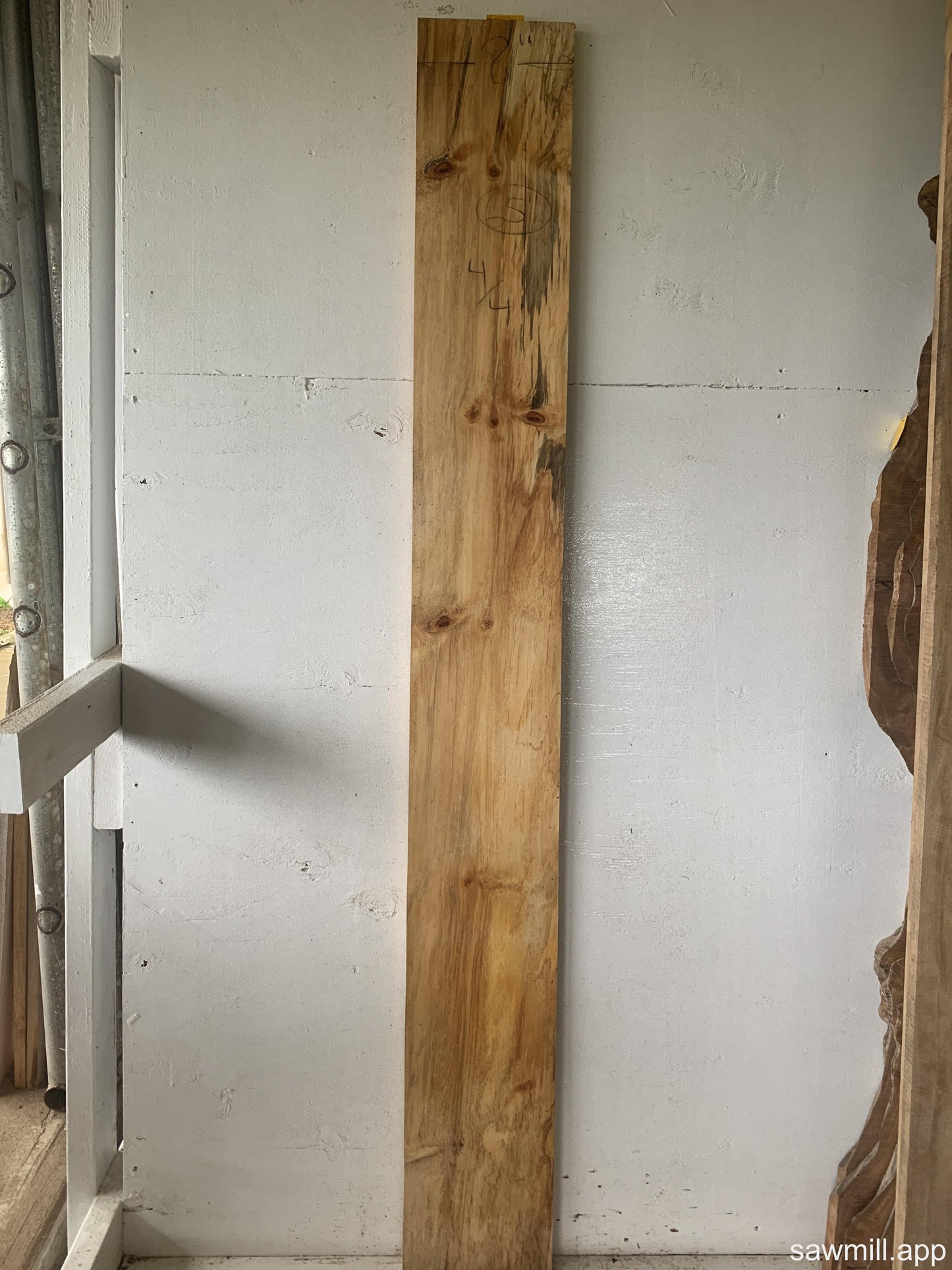 1" x 8" x 65" Norfolk Pine