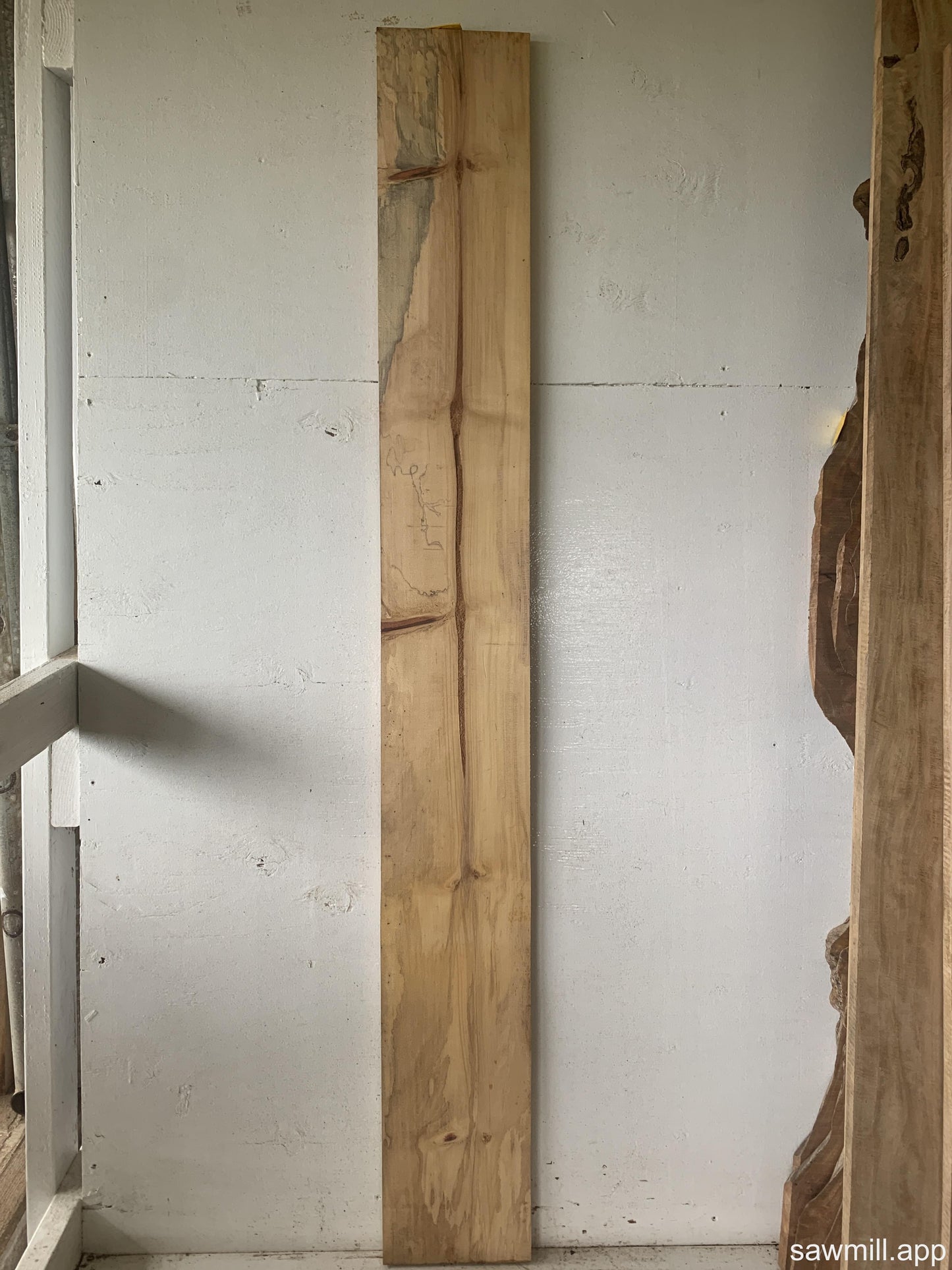 1" x 8" x 65" Norfolk Pine
