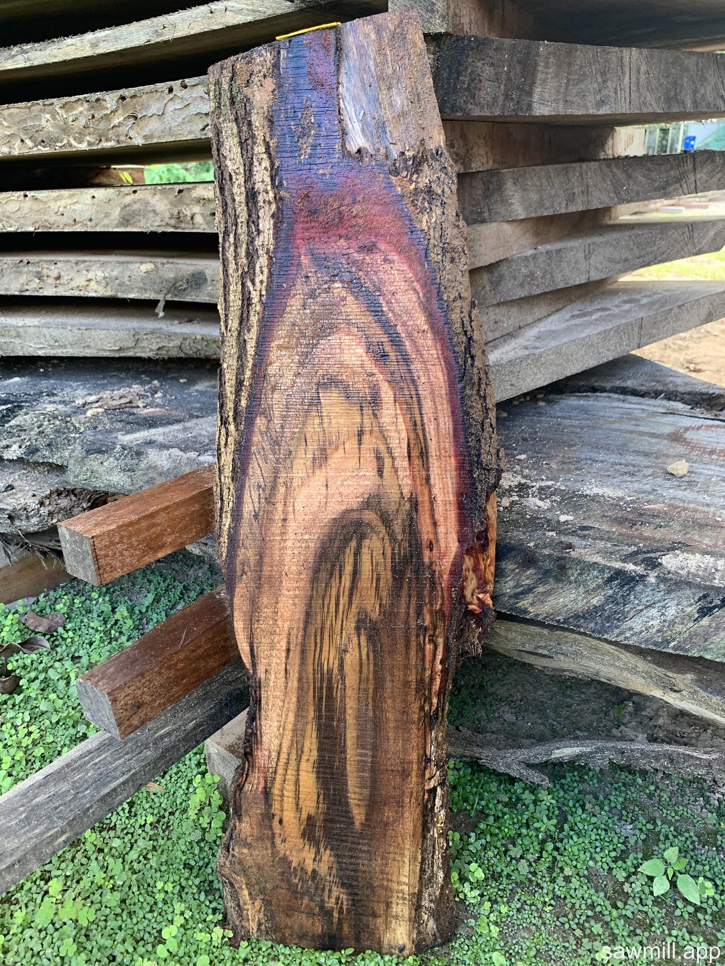 1" x 10" x 32" Koa