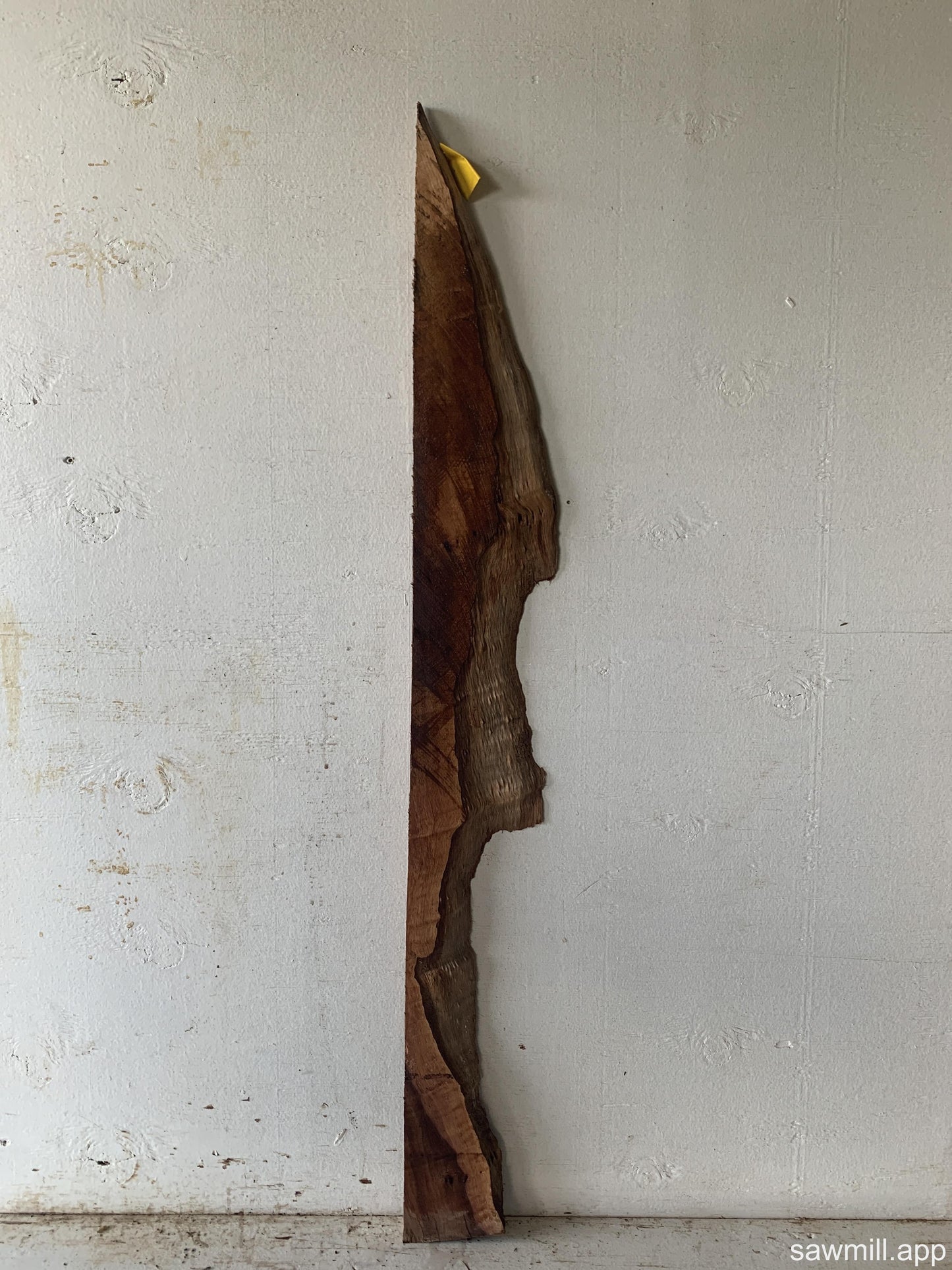 1" x 5" x 41" Ironbark Eucalyptus