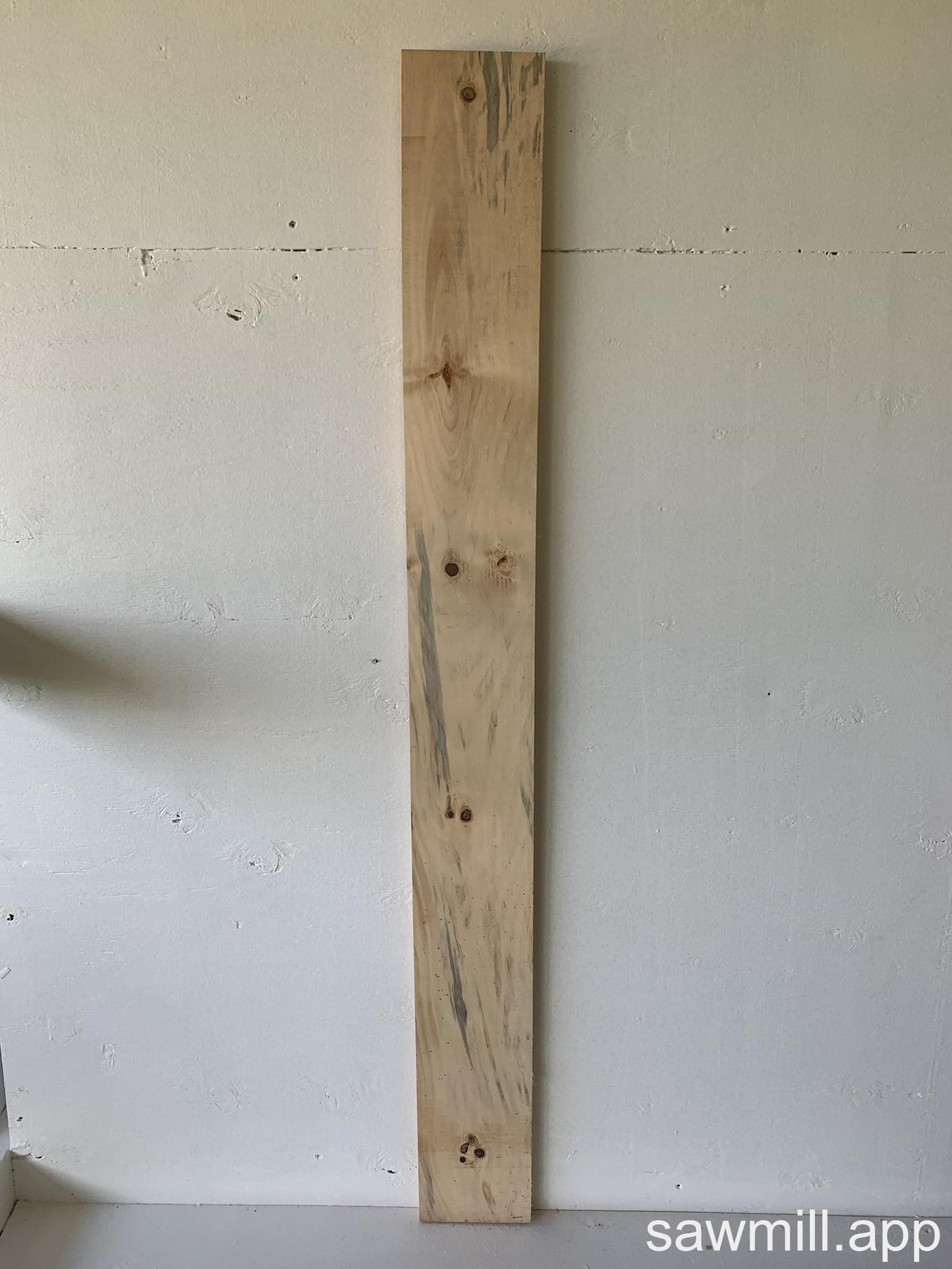 1" x 5" x 55" Norfolk Pine