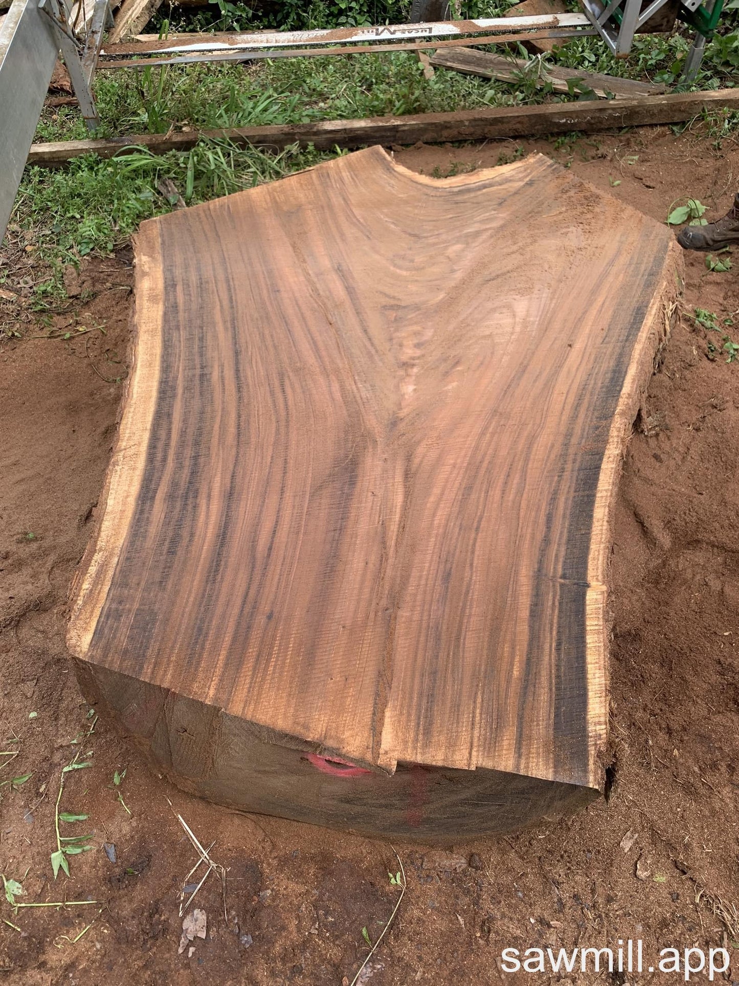 2.5" x 63" x 80" Monkeypod