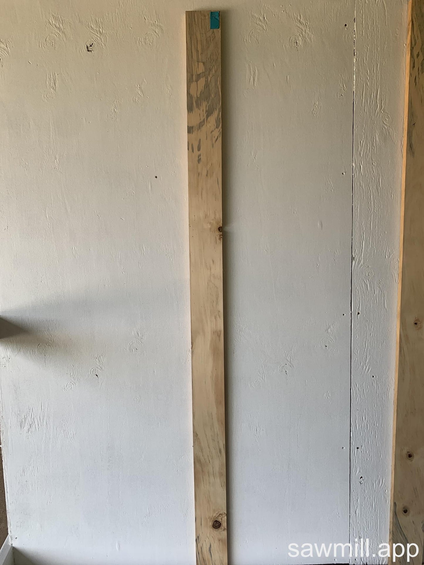 1" x 4" x 74" Norfolk Pine