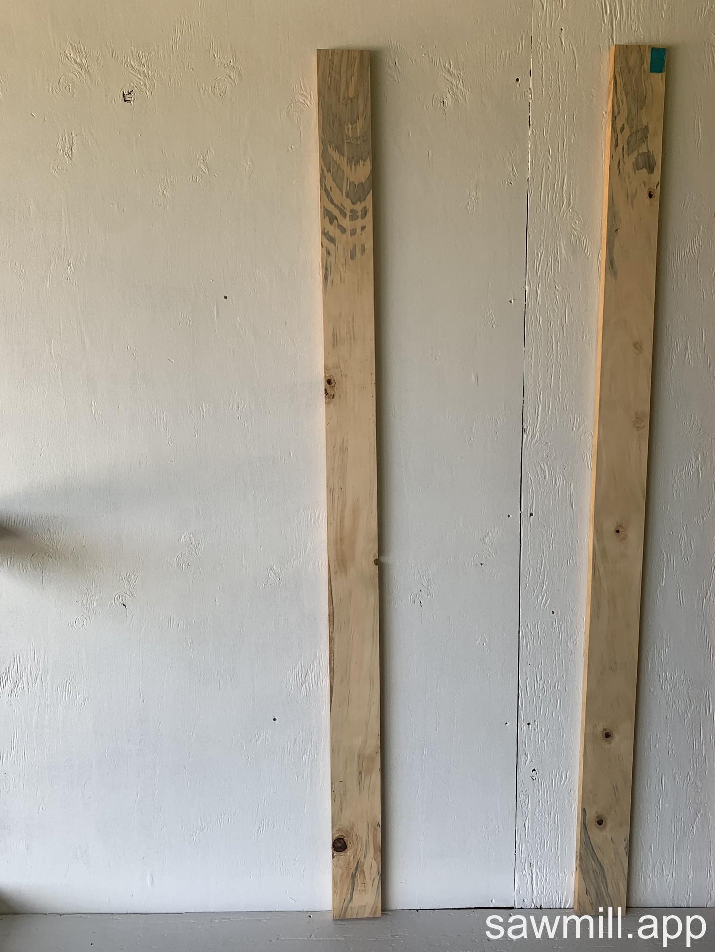 1" x 4" x 74" Norfolk Pine