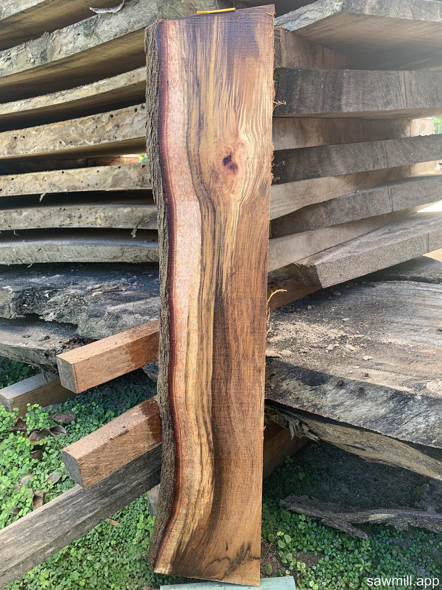 1" x 7" x 33" Koa