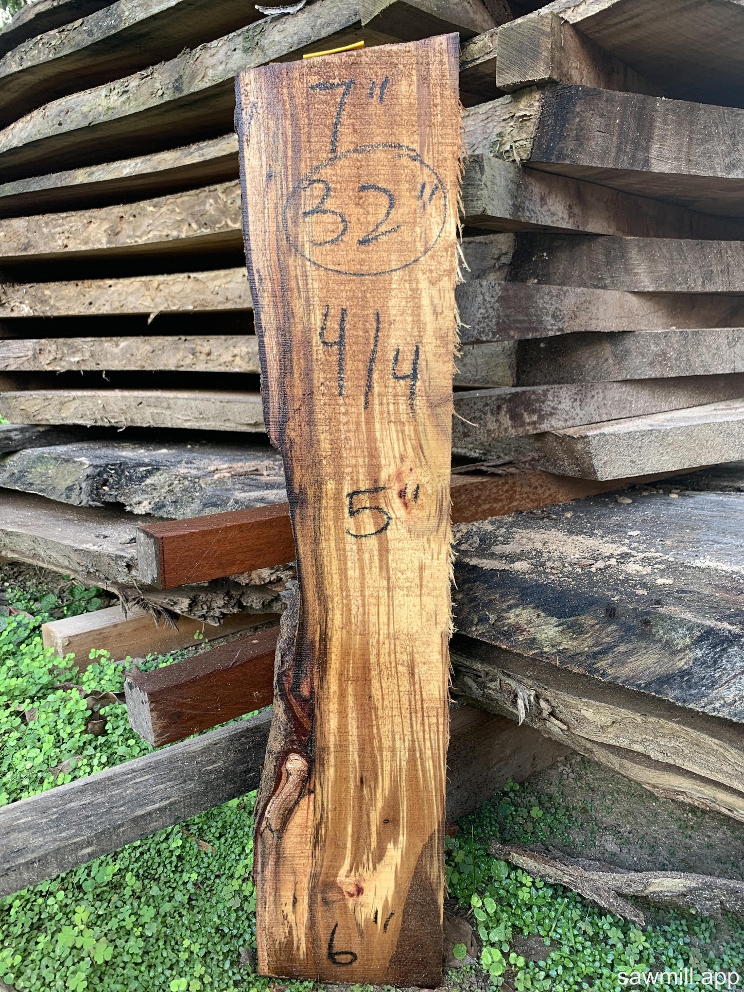 1" x 7" x 32" Koa