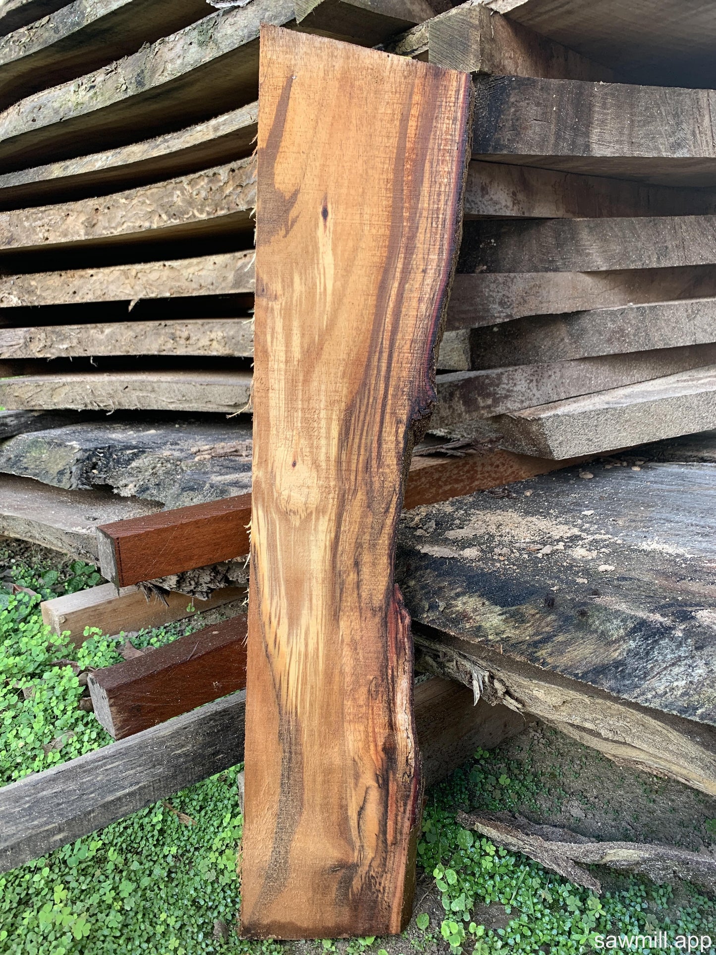1" x 7" x 32" Koa