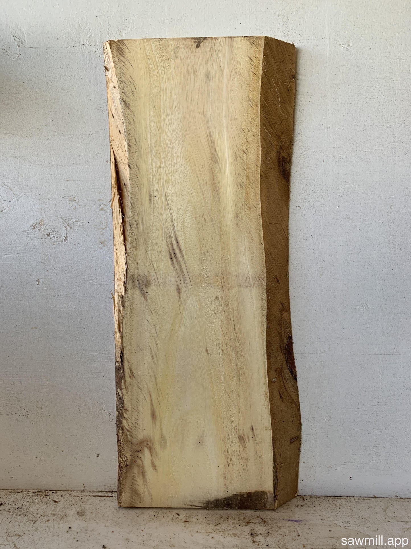 1.5" x 13" x 31" Monkeypod