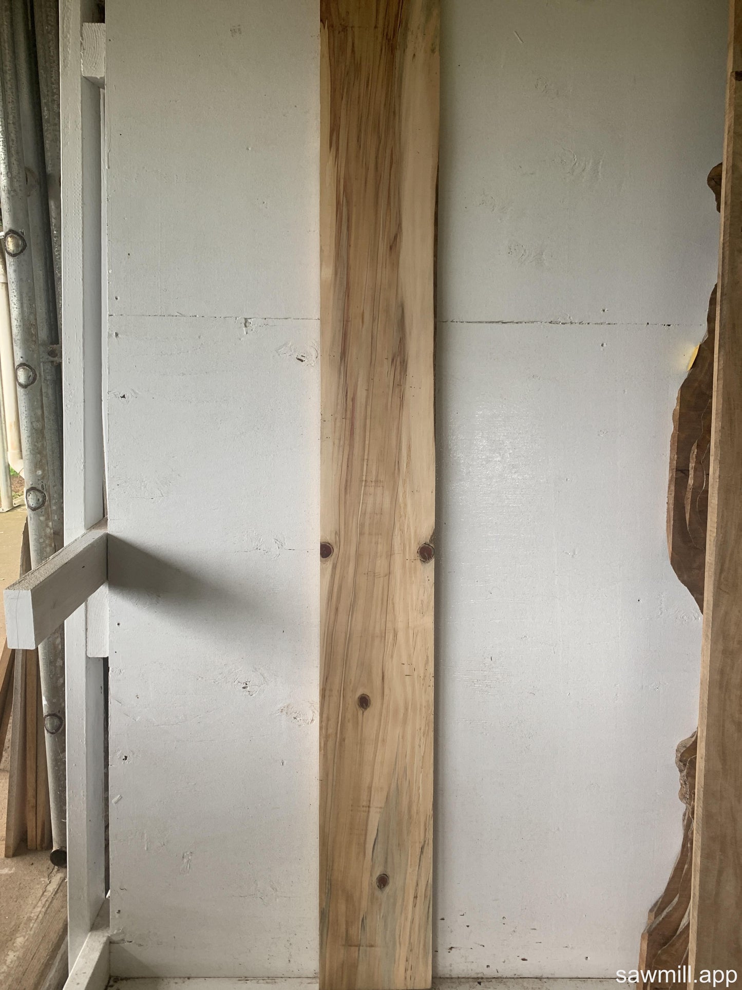 1" x 8" x 70" Norfolk Pine