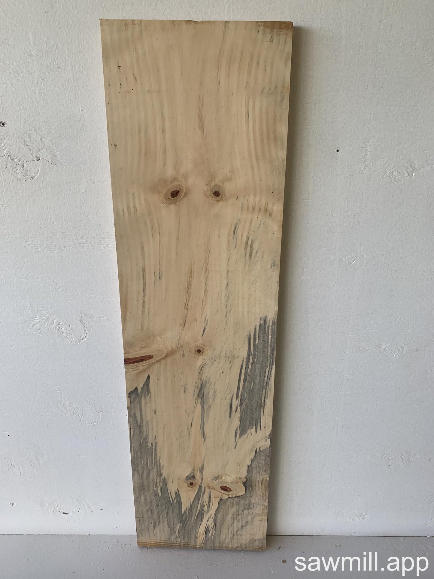 1" x 9" x 34" Norfolk Pine