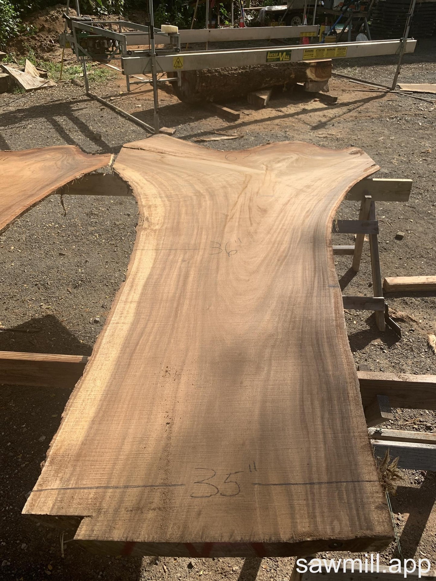 3" x 67" x 120" Monkeypod