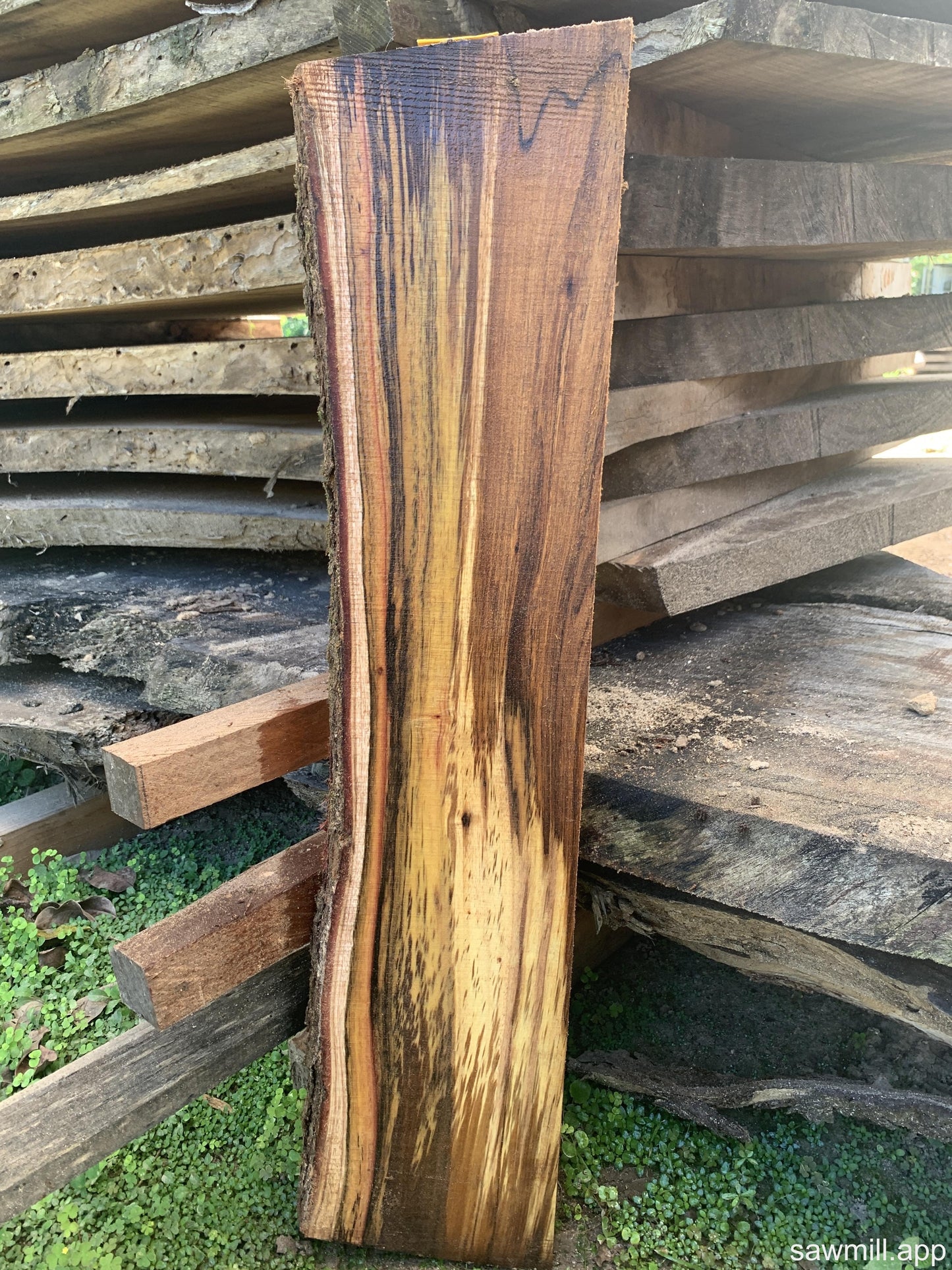 1" x 8" x 33" Koa