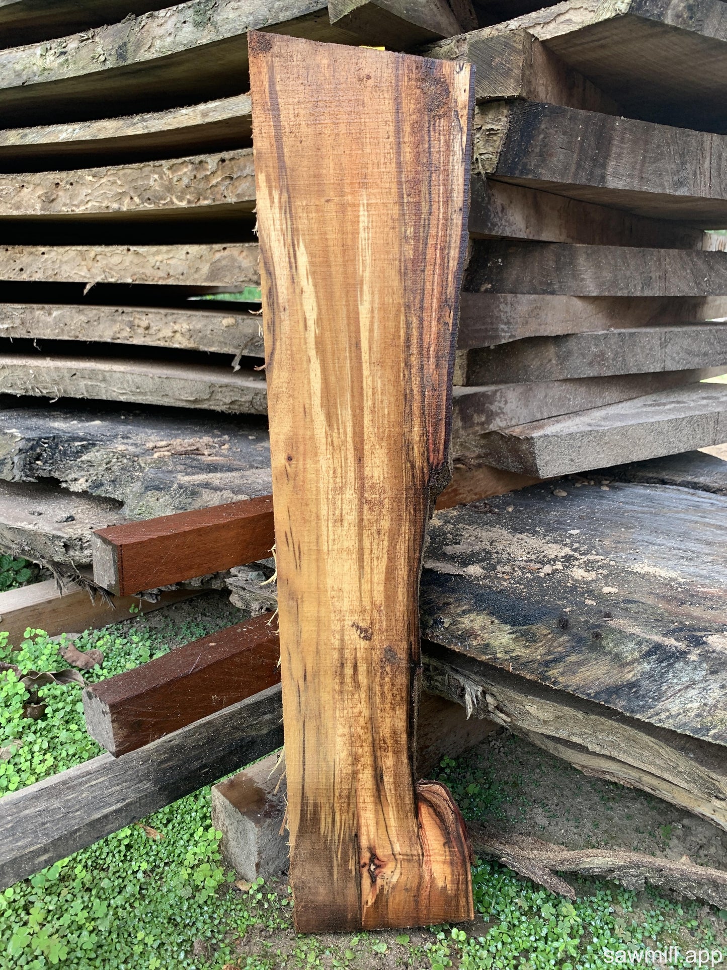 1" x 6" x 32" Koa