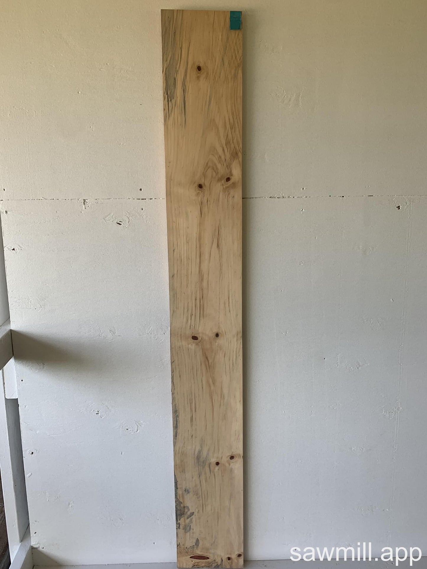 1" x 8" x 66" Norfolk Pine