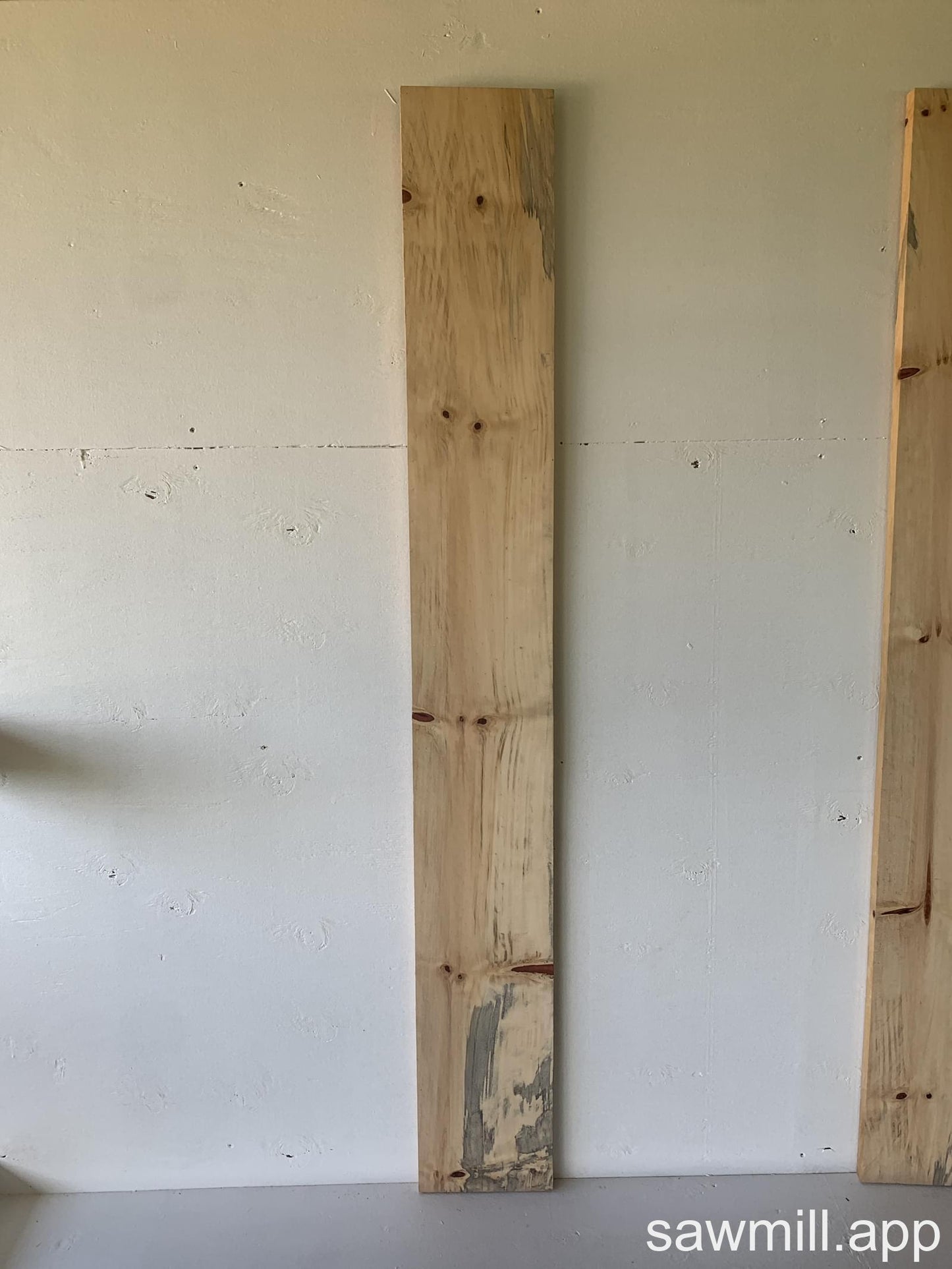 1" x 8" x 66" Norfolk Pine