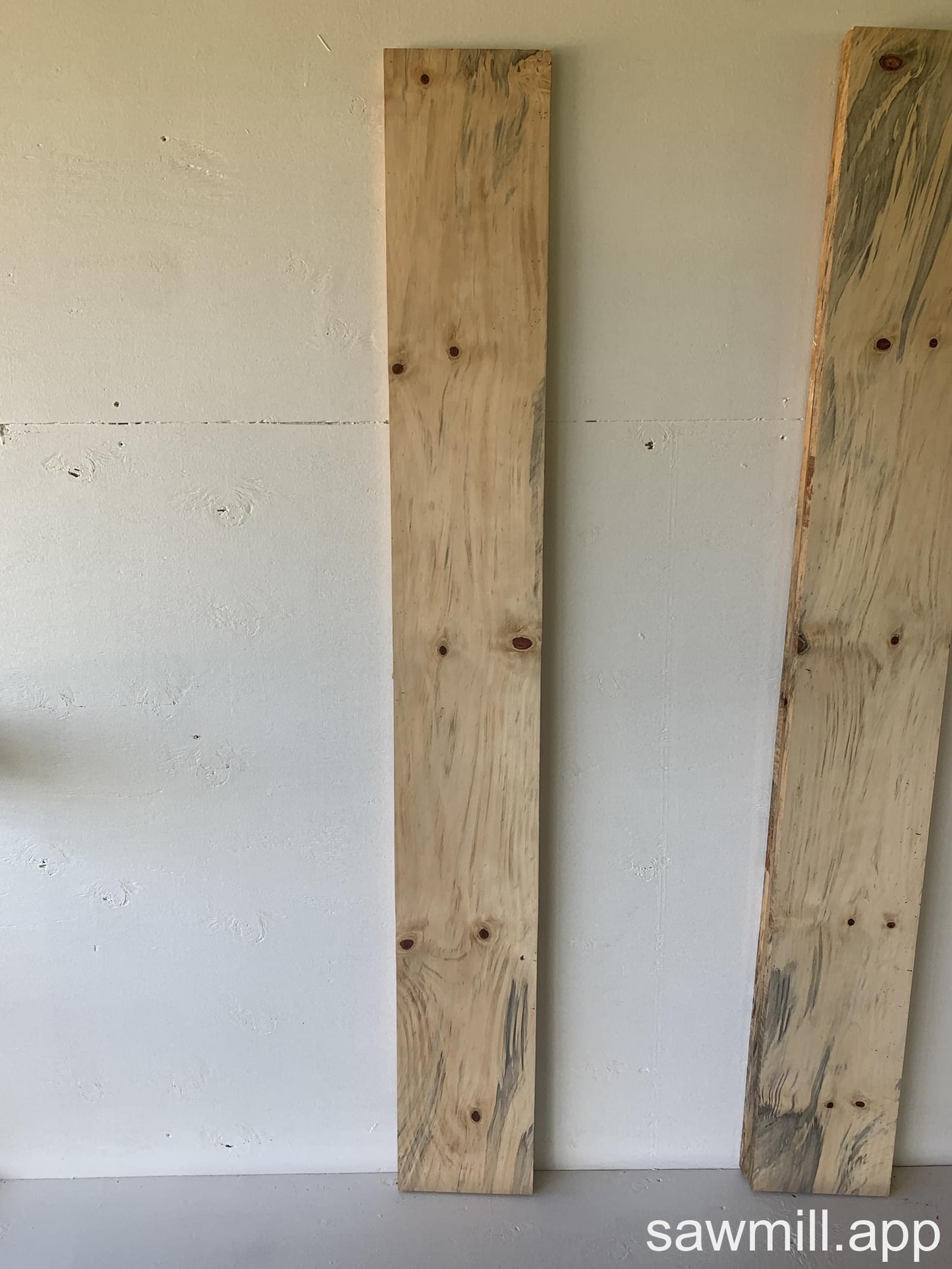 1" x 8" x 65" Norfolk Pine