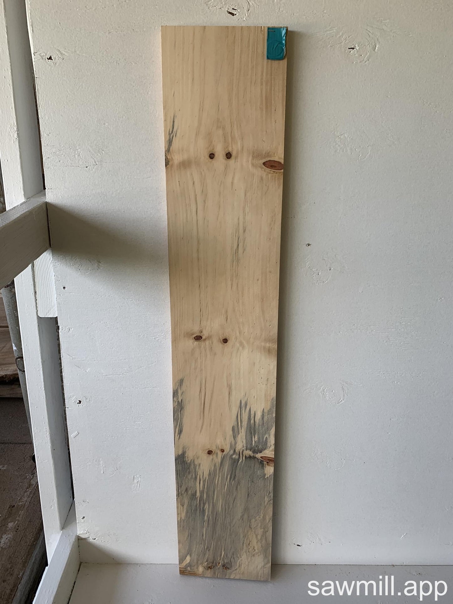 1" x 8" x 44" Norfolk Pine
