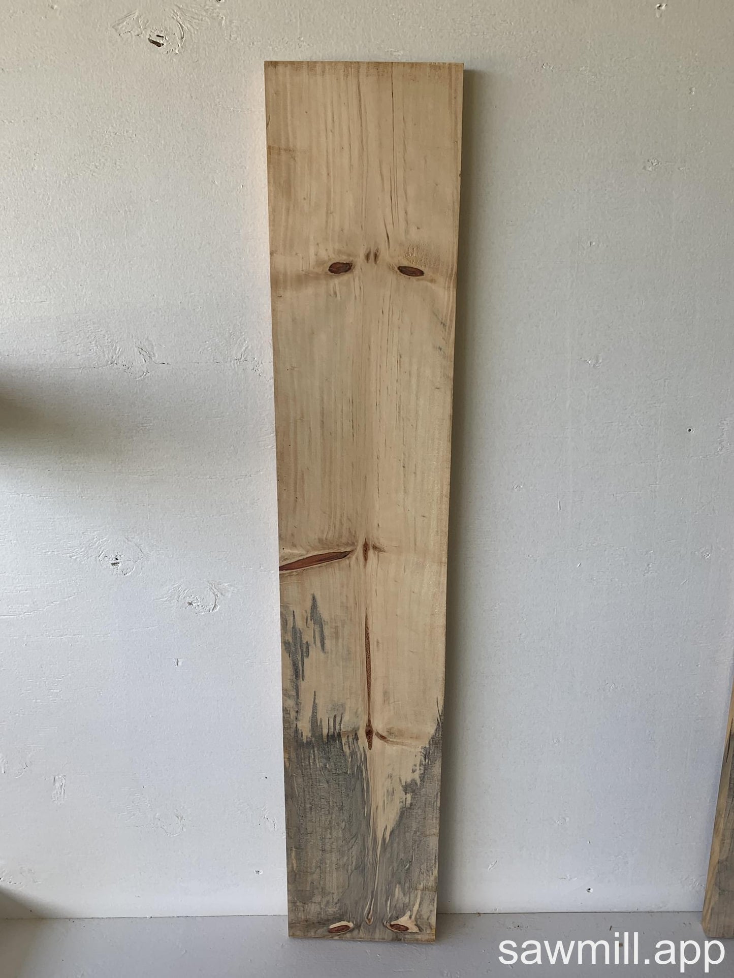 1" x 8" x 44" Norfolk Pine
