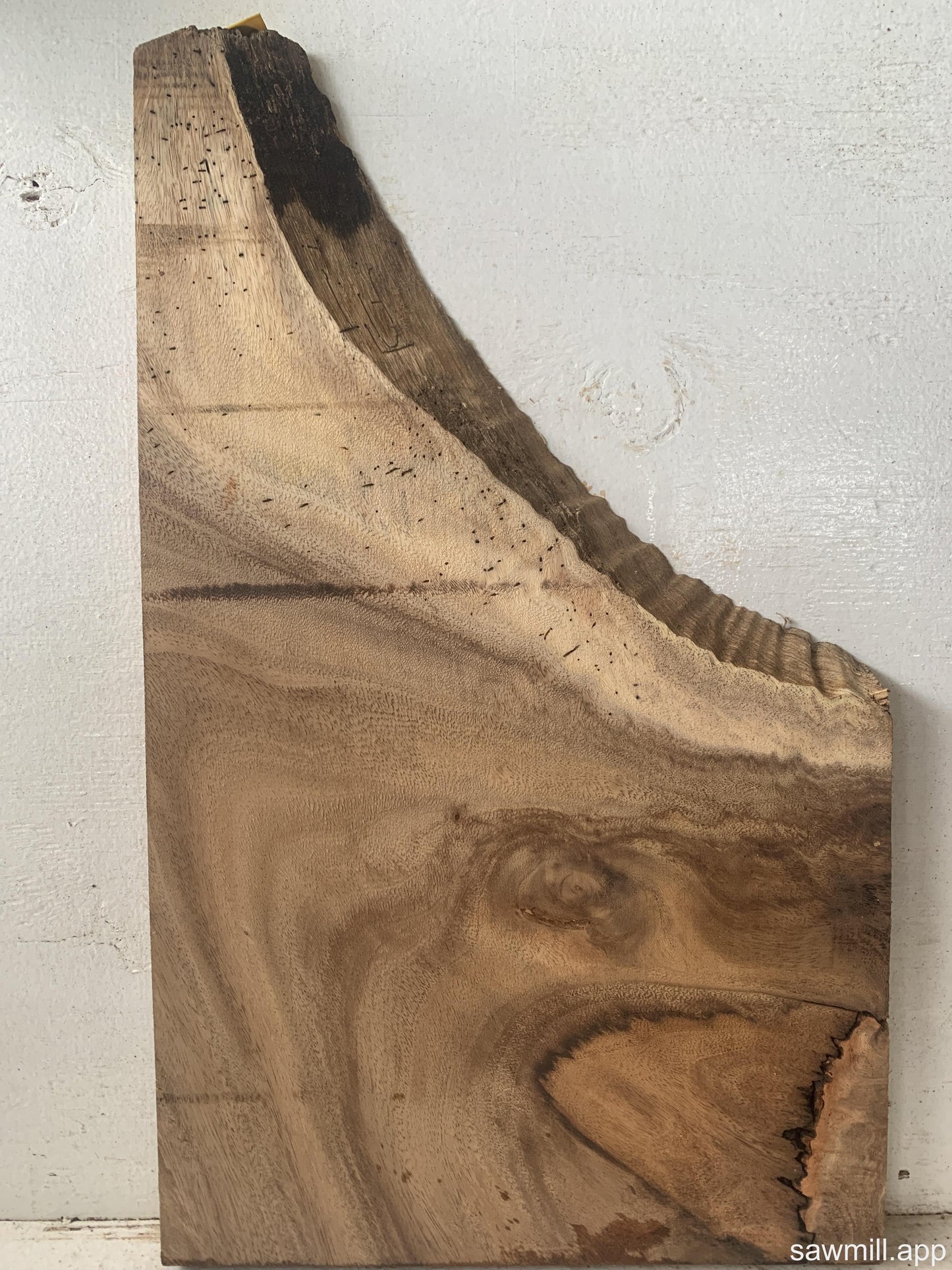 1.5" x 14" x 23" Monkeypod