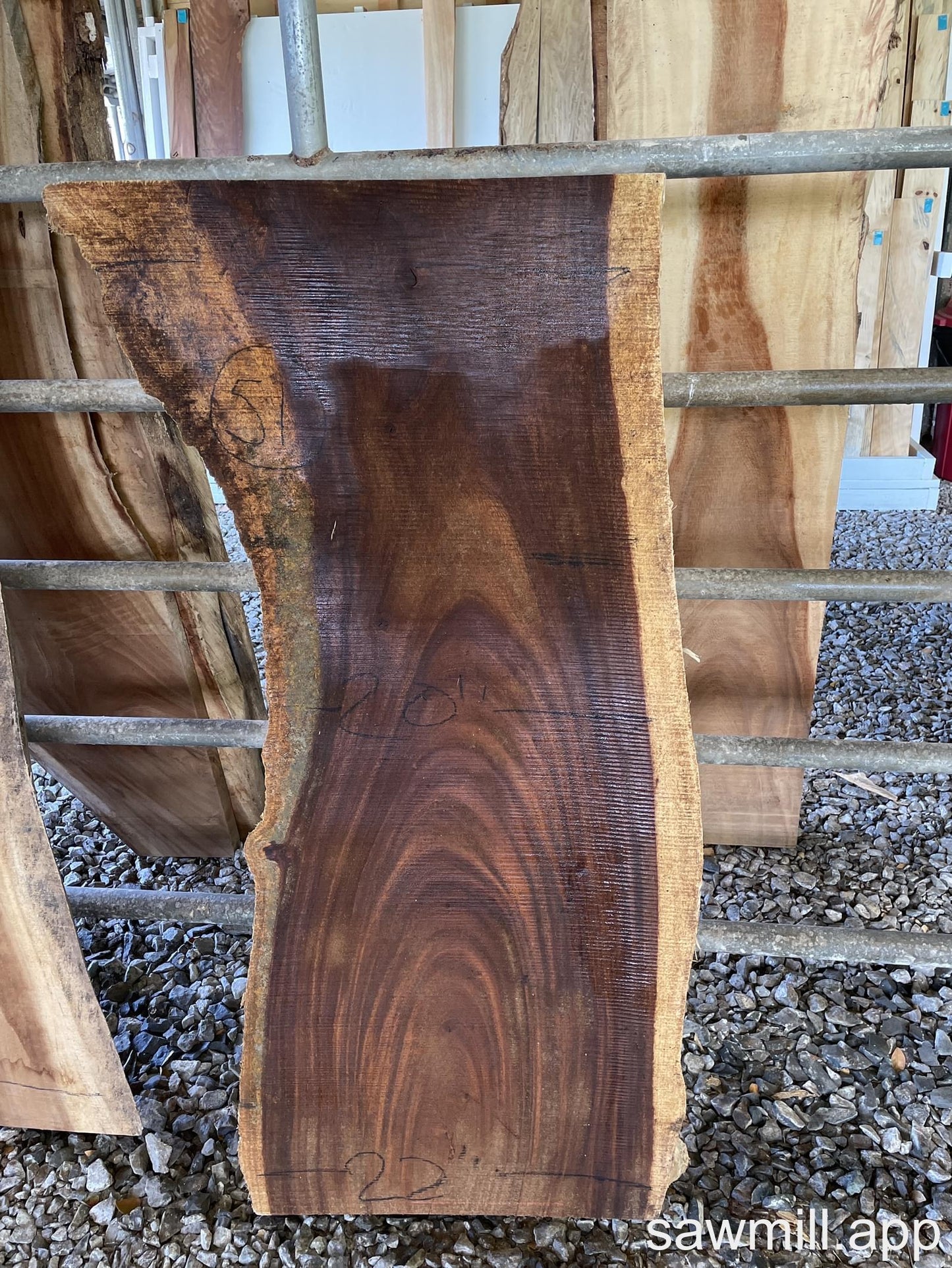 2.25" x 26" x 51" Monkeypod